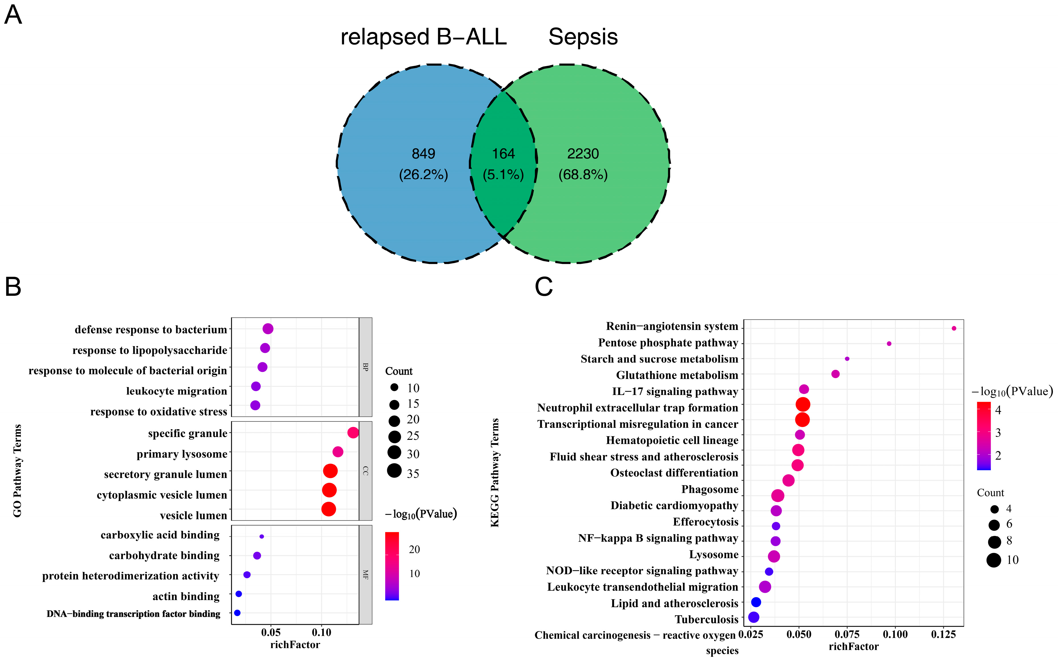 Biomedicines 13 02307 g002 Biomedicines 13 02307 g002