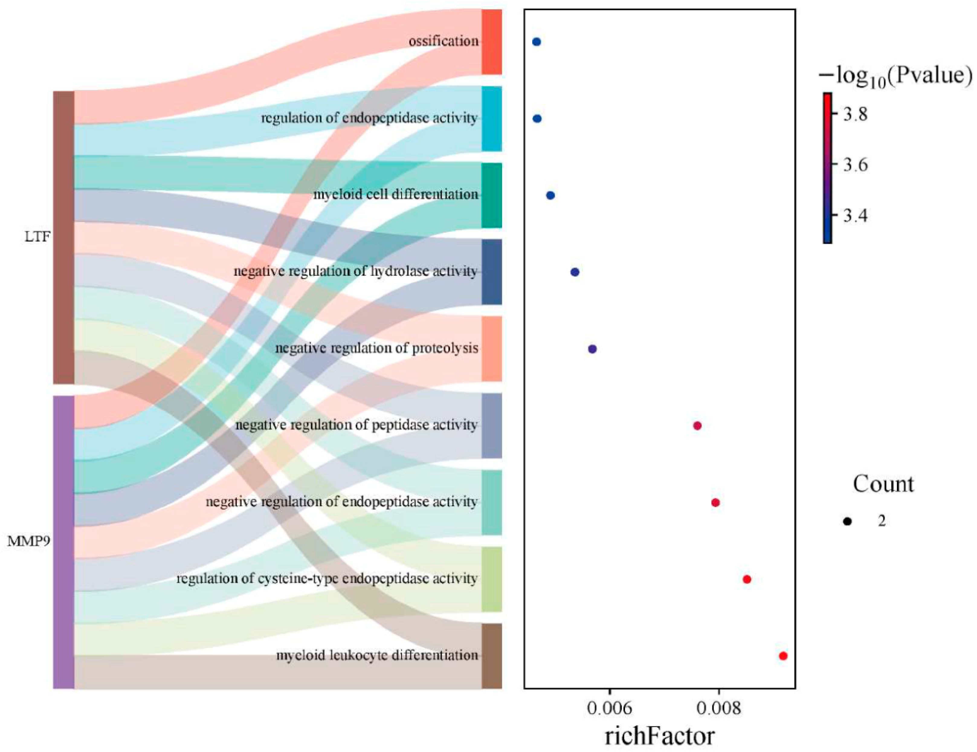 Biomedicines 13 02307 g005 Biomedicines 13 02307 g005