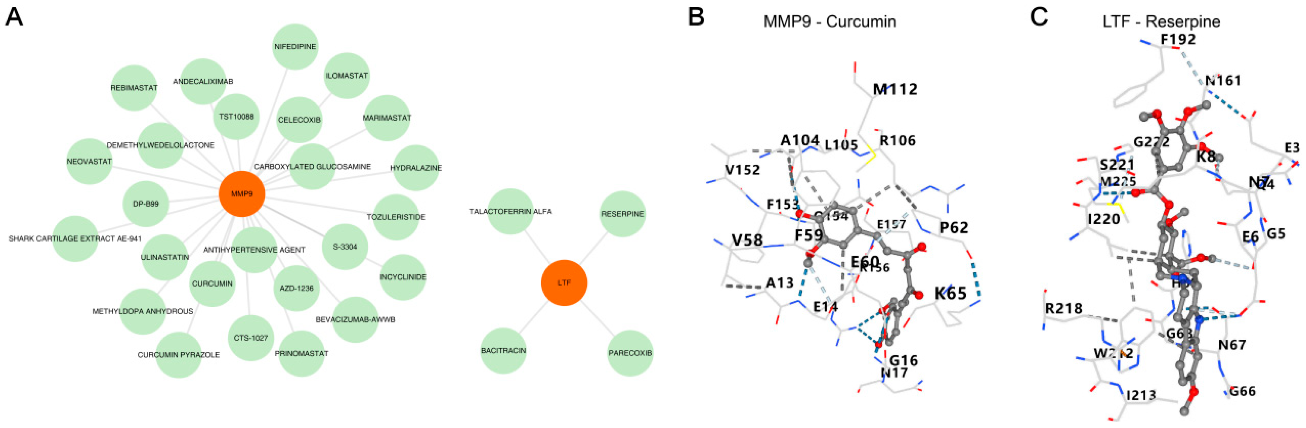 Biomedicines 13 02307 g007 Biomedicines 13 02307 g007