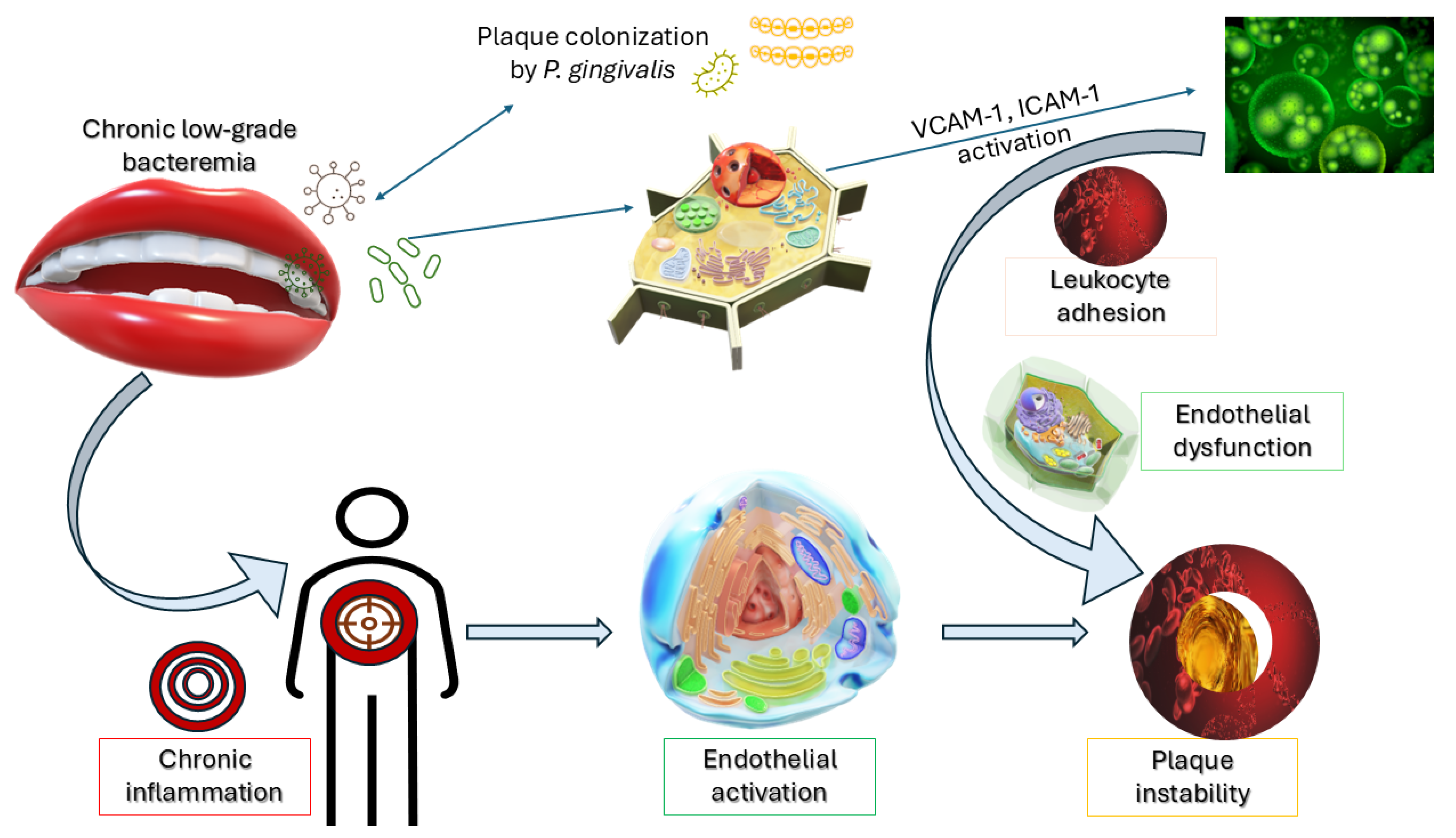 Biomedicines 13 02309 g002