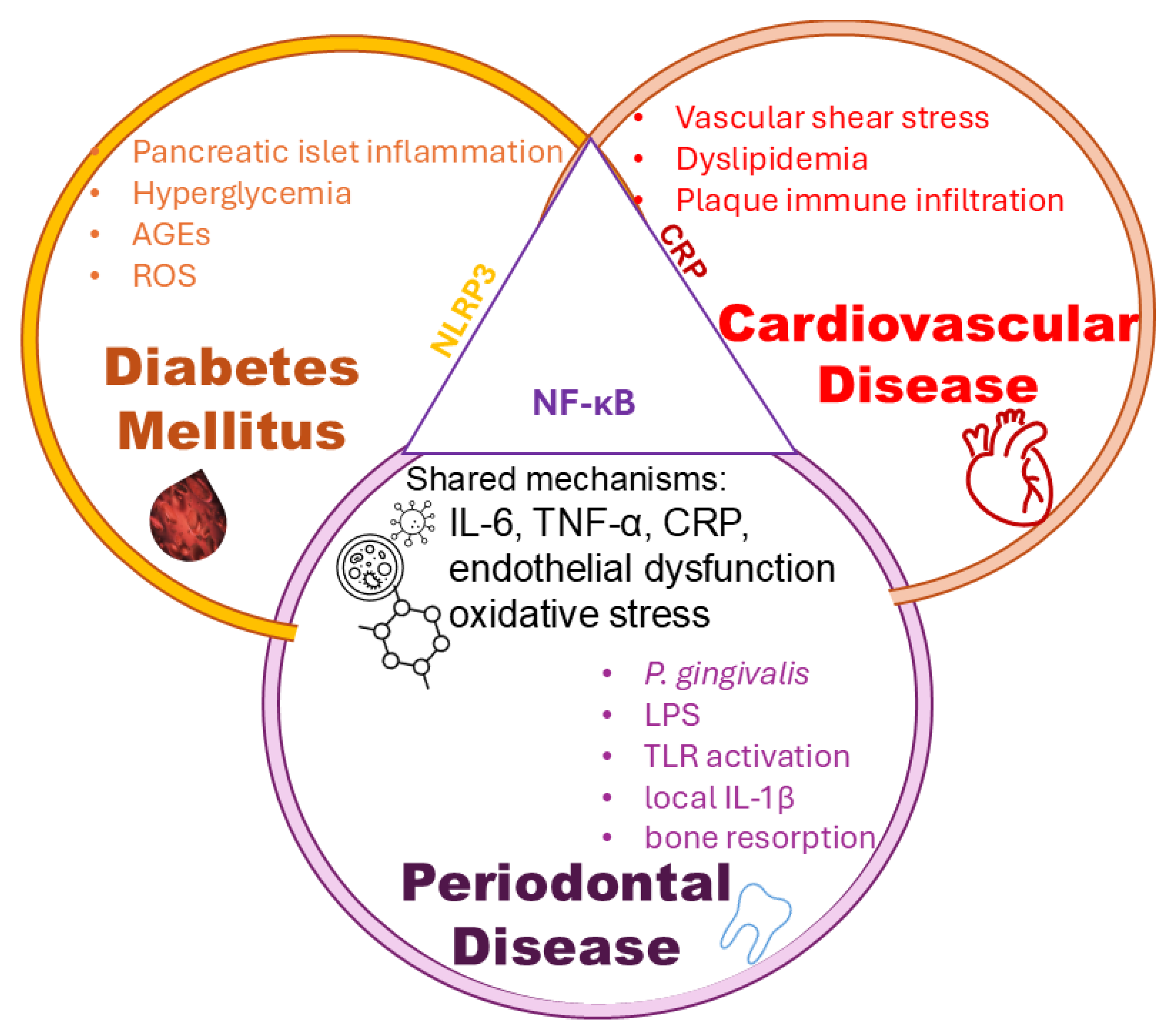 Biomedicines 13 02309 g003