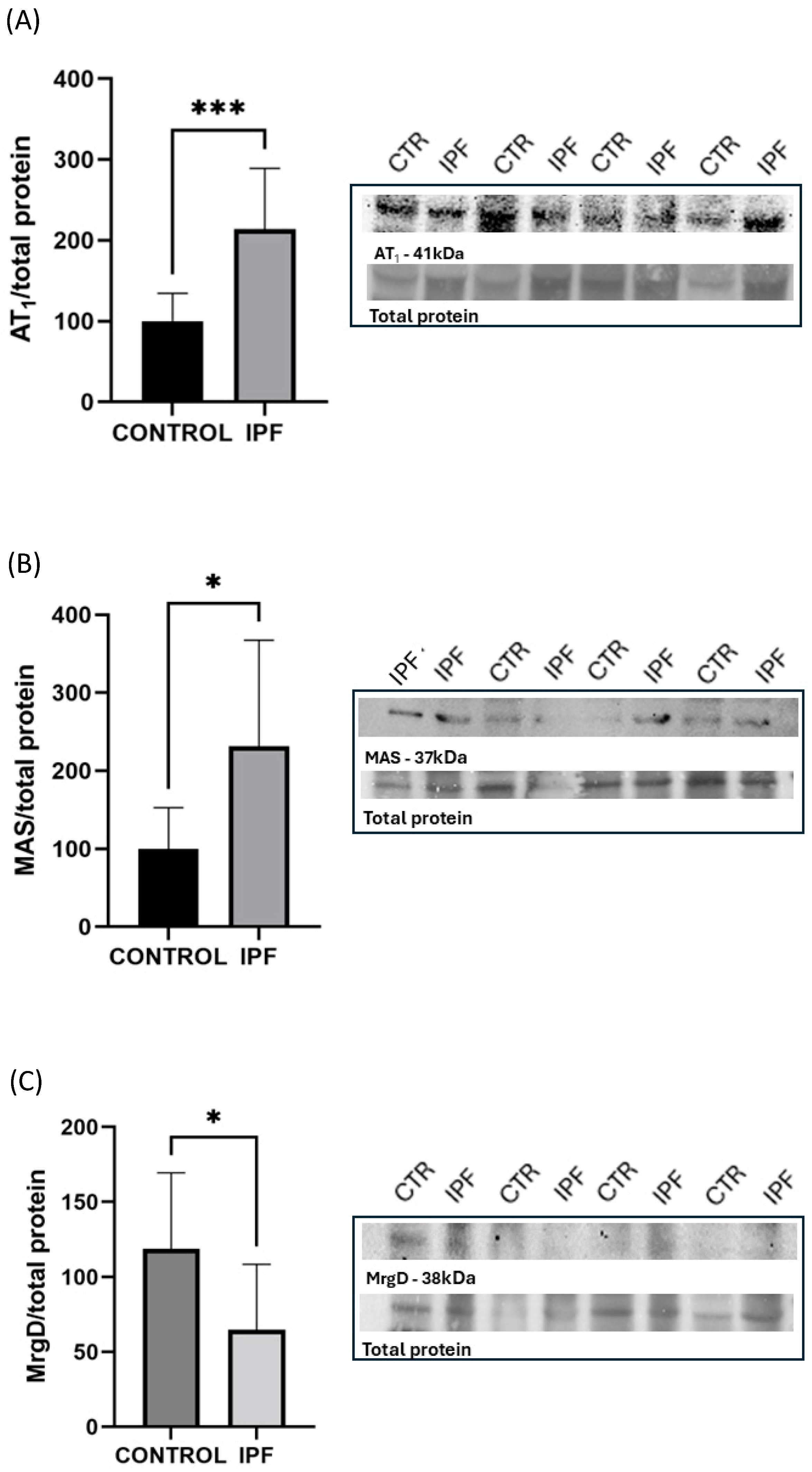 Biomedicines 13 02312 g001 Biomedicines 13 02312 g001