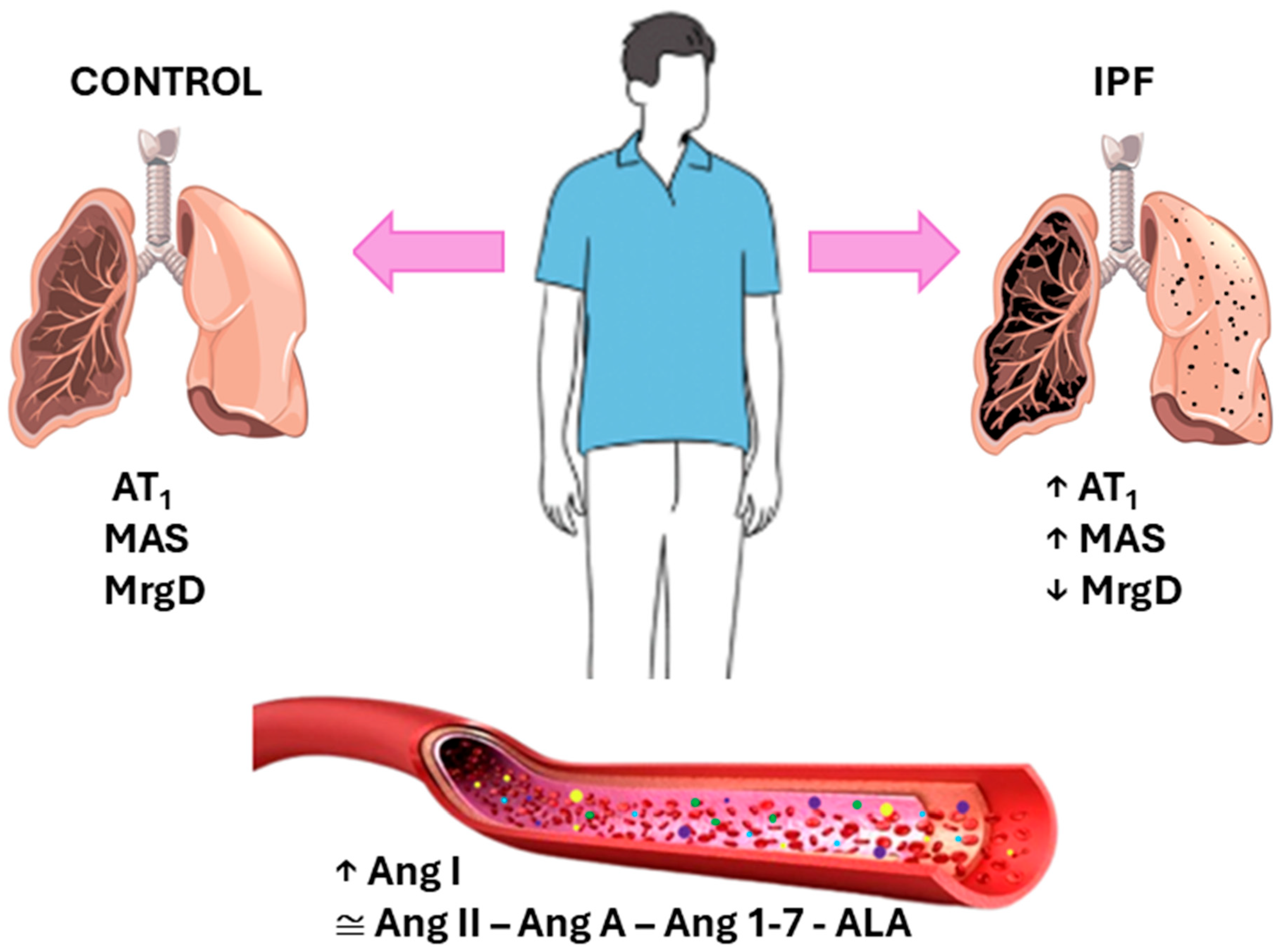 Biomedicines 13 02312 g003 Biomedicines 13 02312 g003