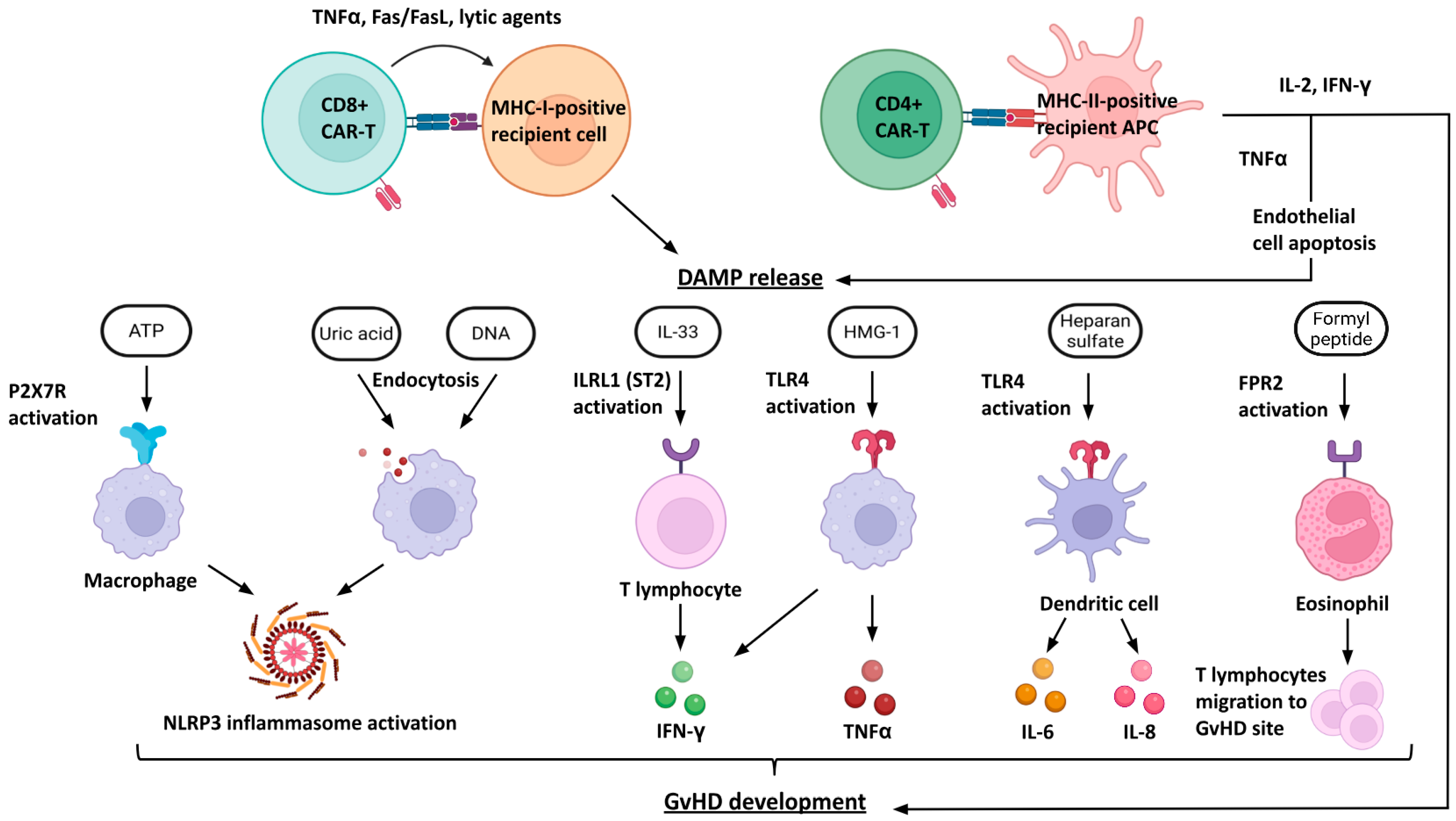 Biomedicines 13 02314 g001 Biomedicines 13 02314 g001