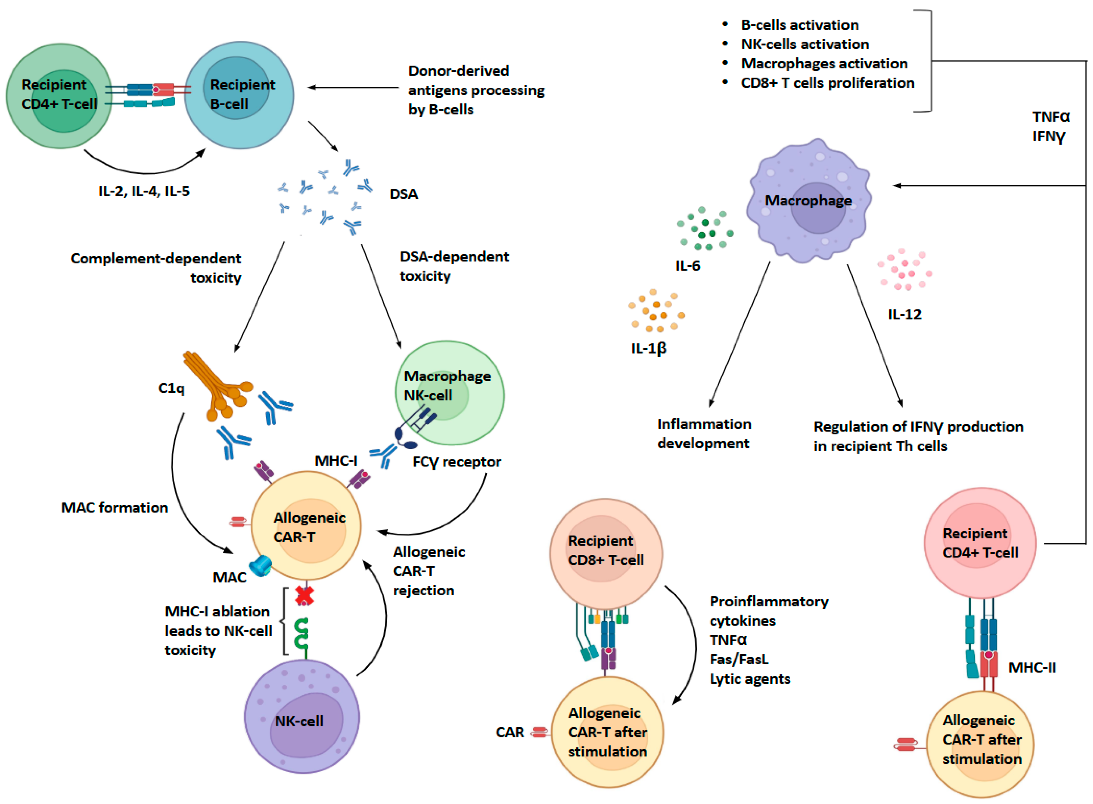 Biomedicines 13 02314 g002 Biomedicines 13 02314 g002