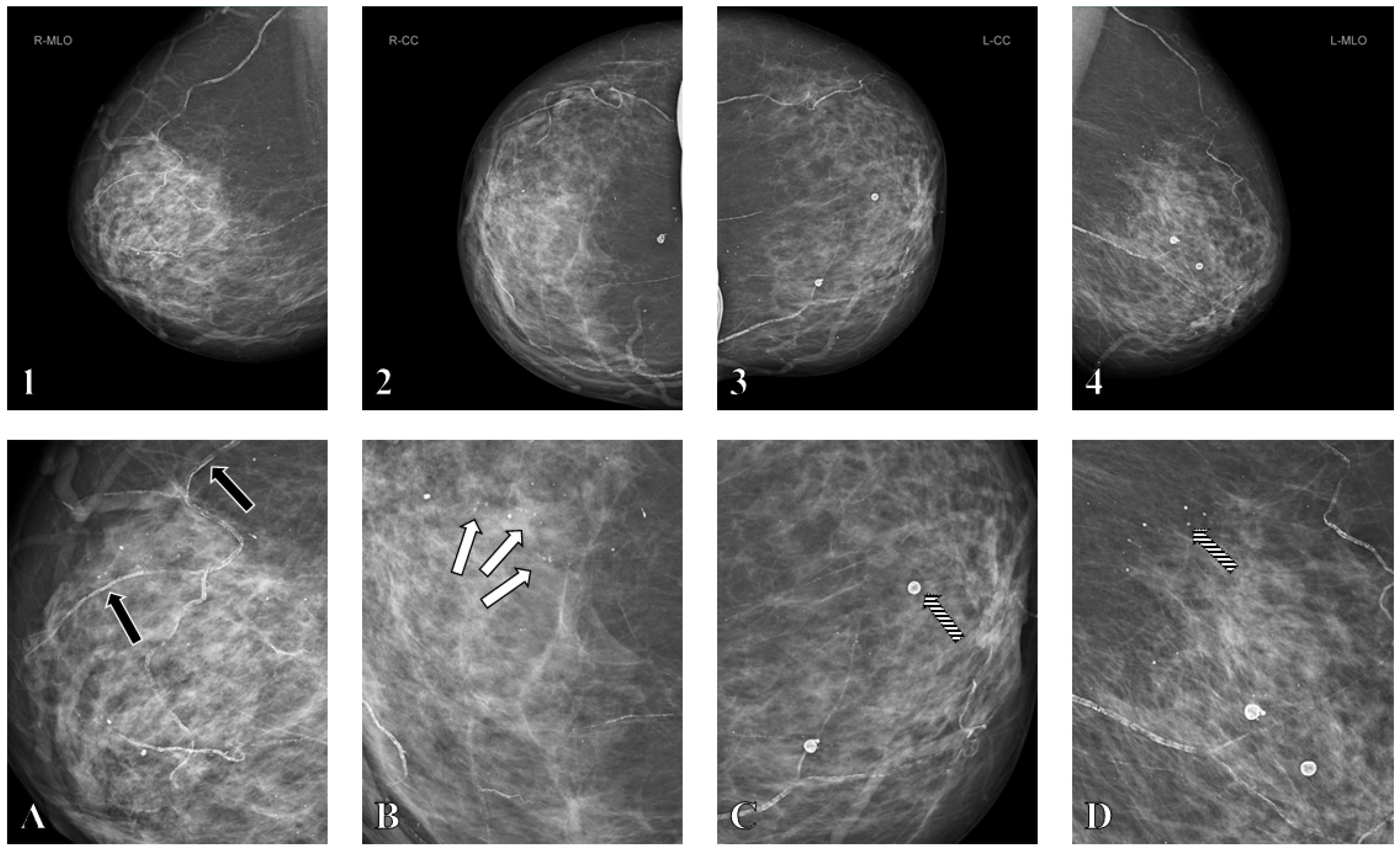 Biomedicines 13 02318 g004