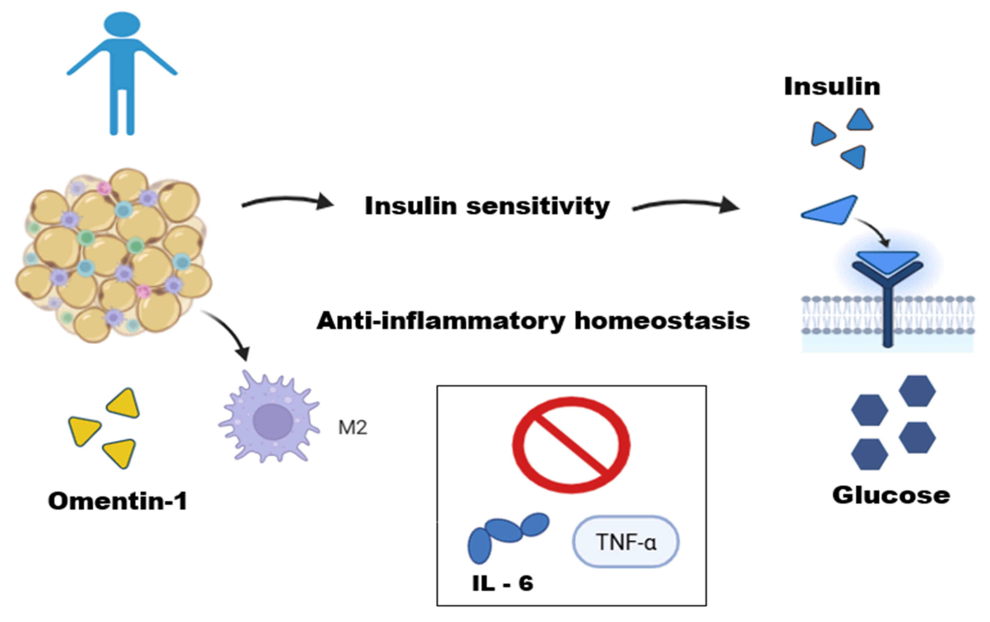 Biomedicines 13 02321 g001