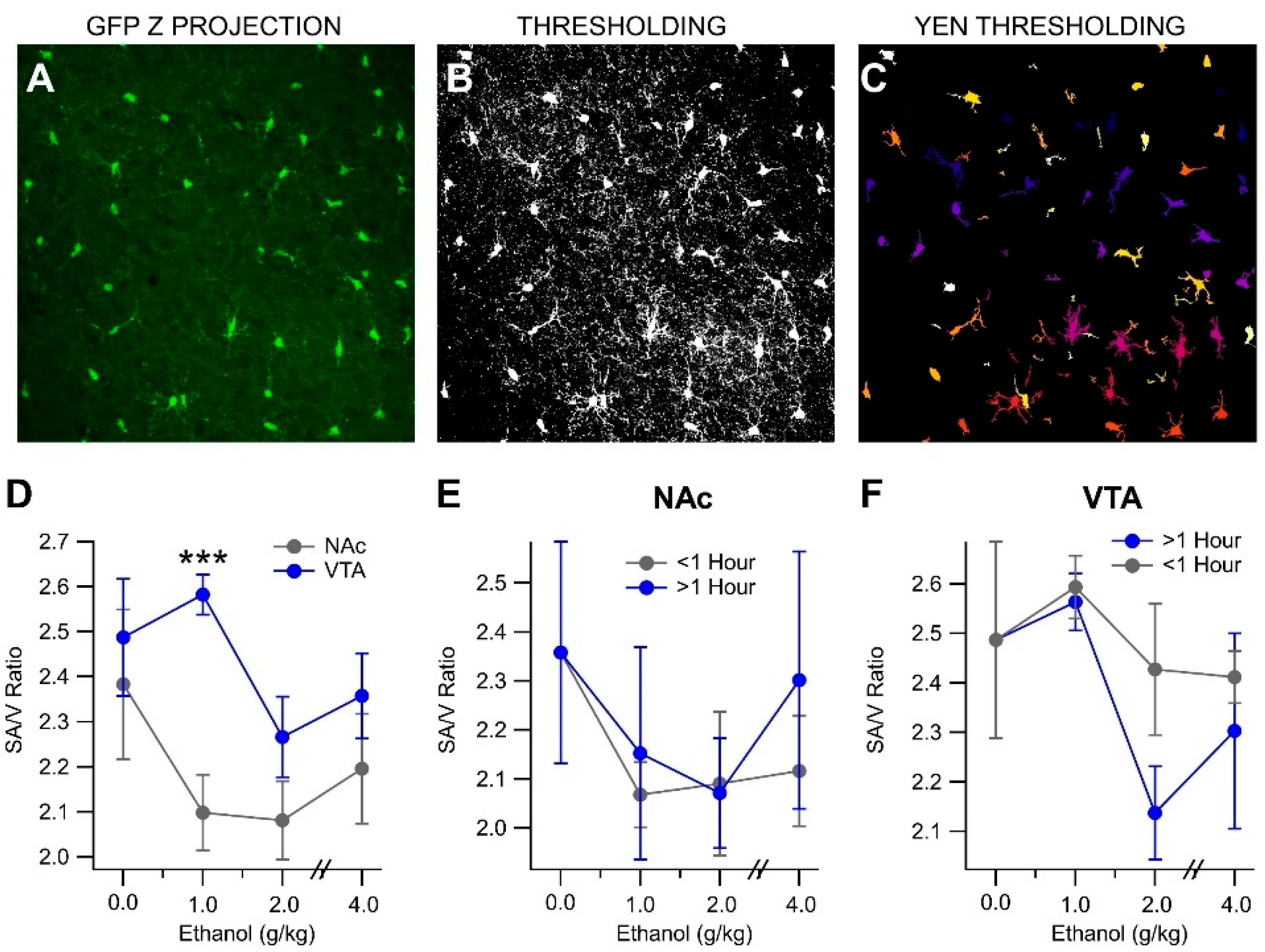 Biomedicines 13 02327 g005