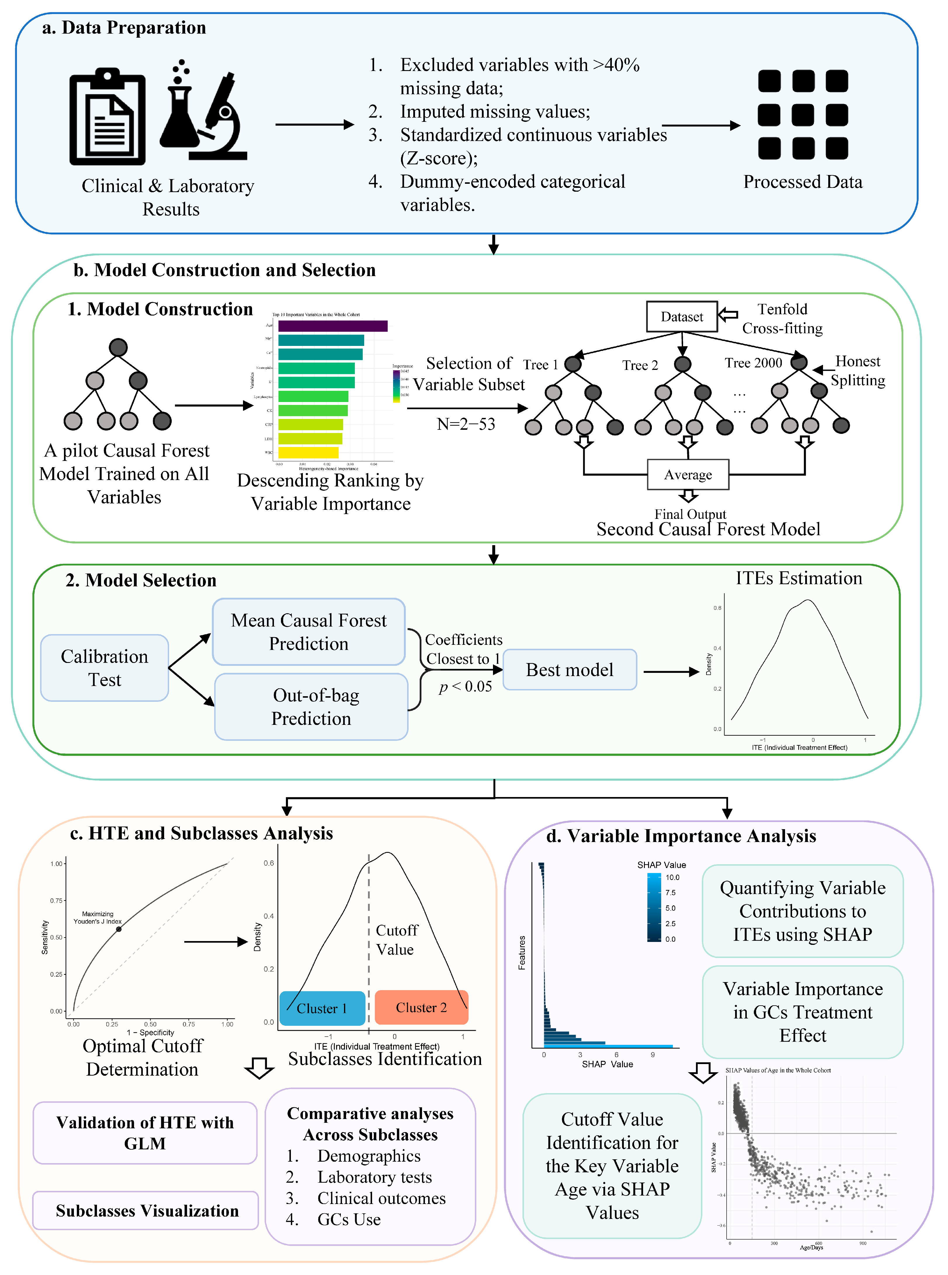 Biomedicines 13 02333 g001