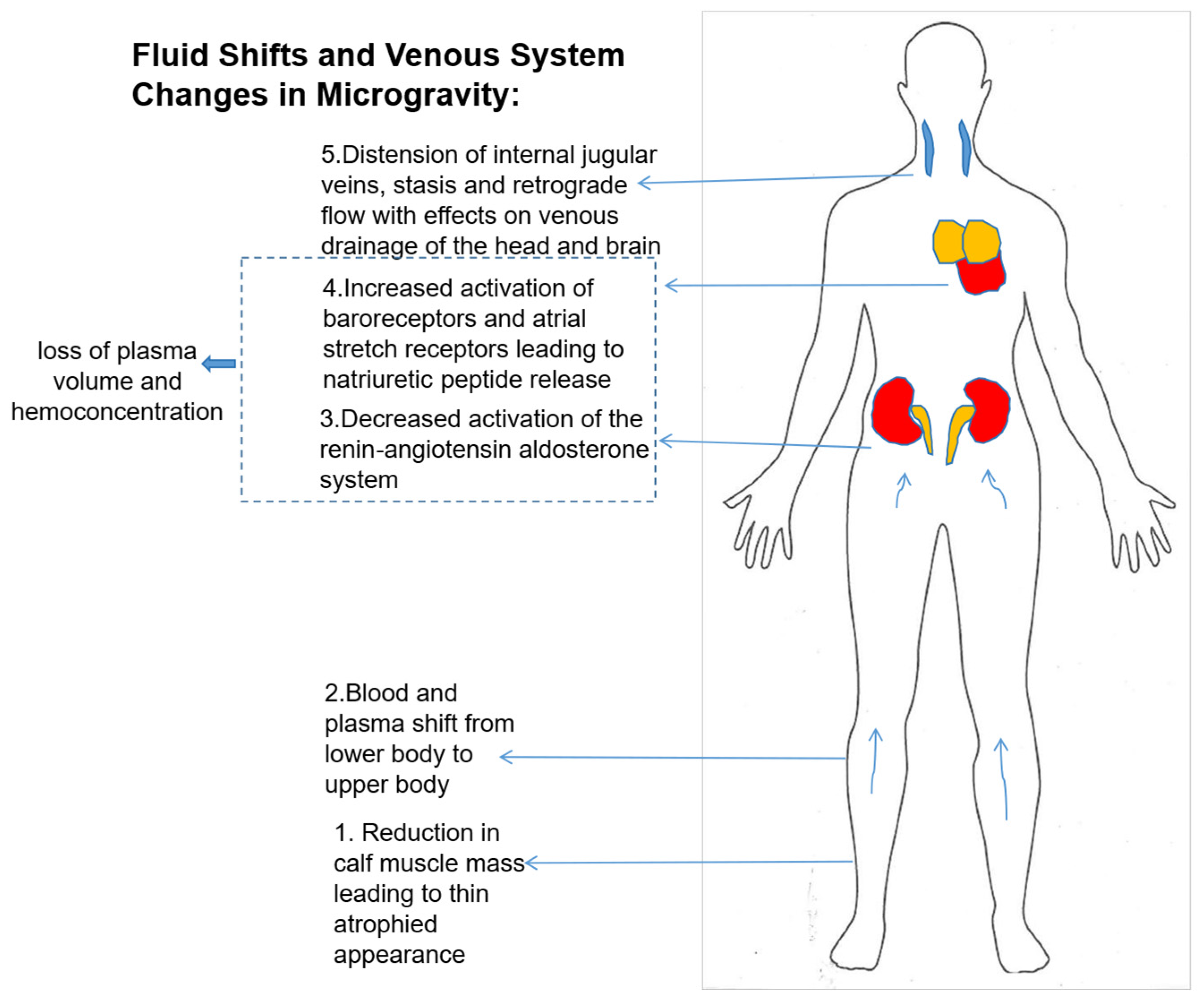 Biomedicines 13 02336 g003 Biomedicines 13 02336 g003
