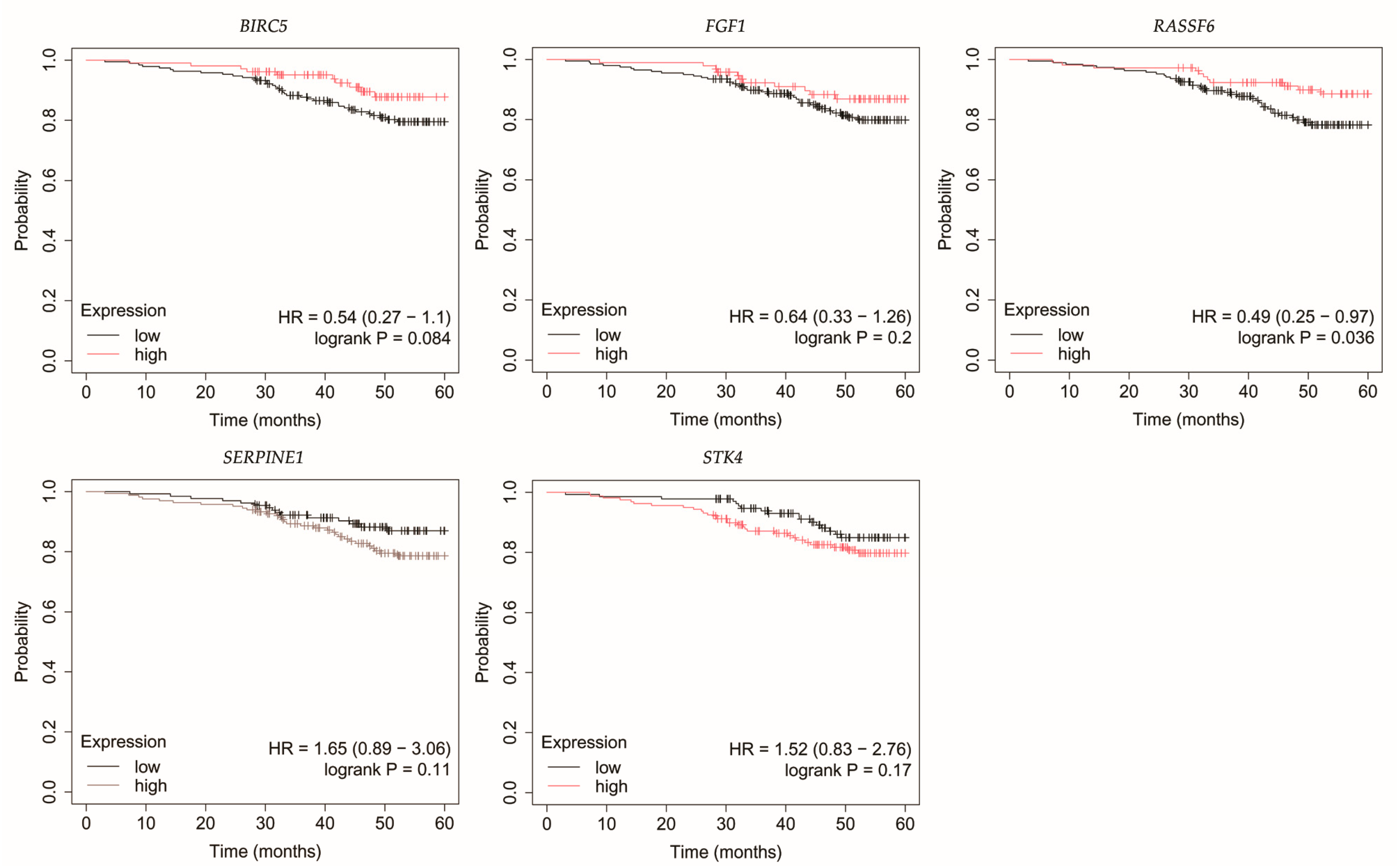 Biomedicines 13 02342 g006