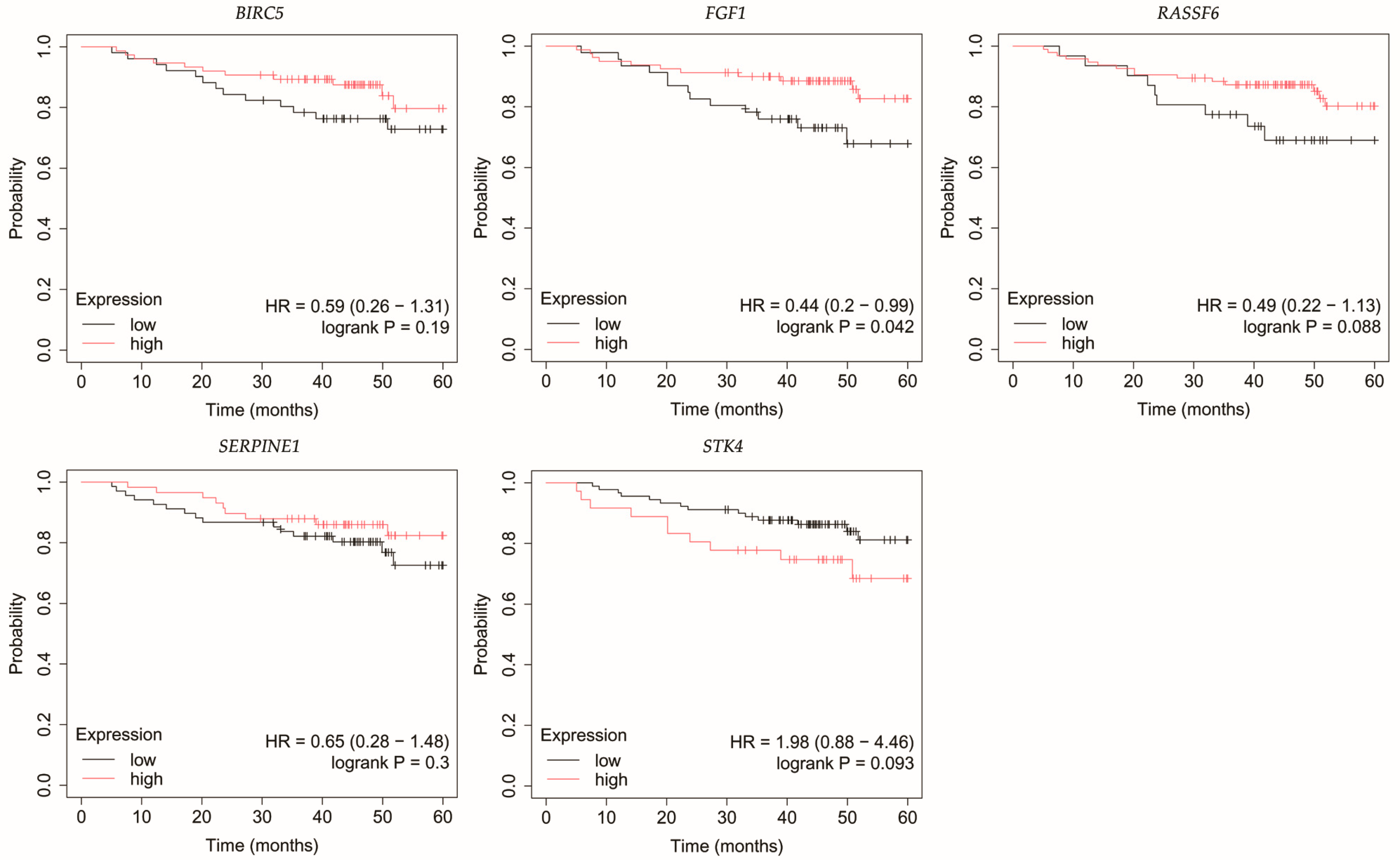 Biomedicines 13 02342 g007