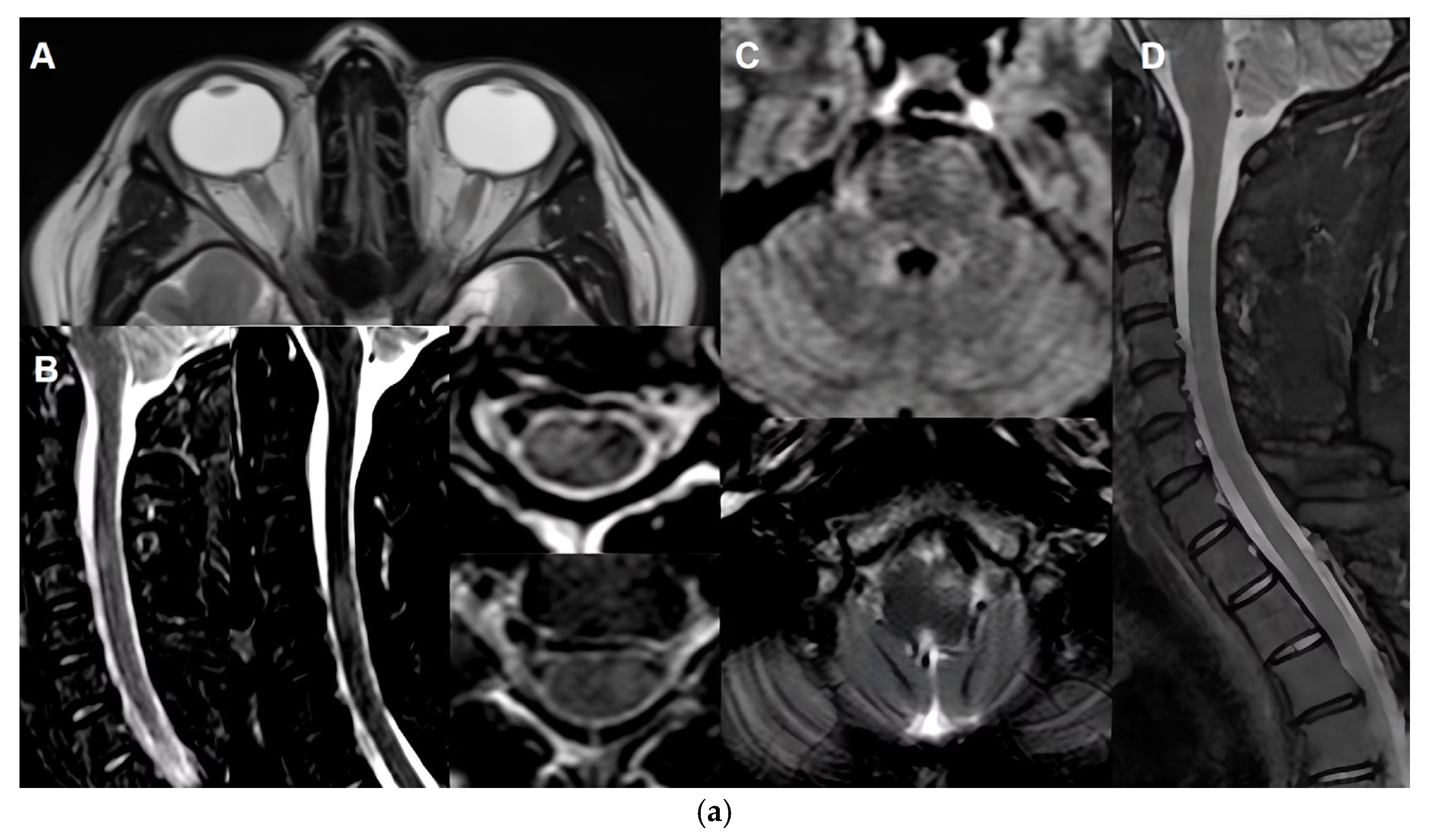 Biomedicines 13 02344 g001a