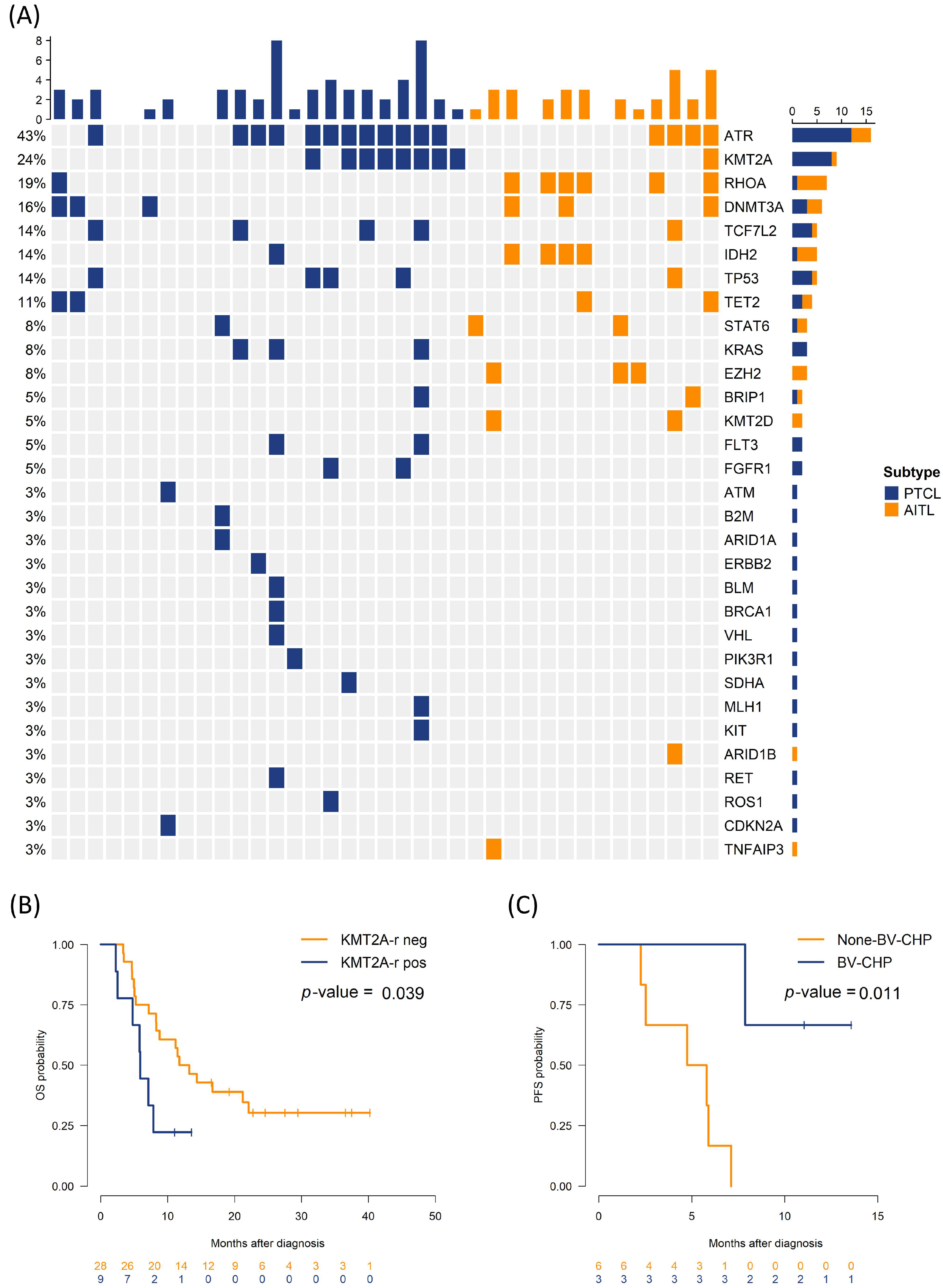 Biomedicines 13 02347 g002