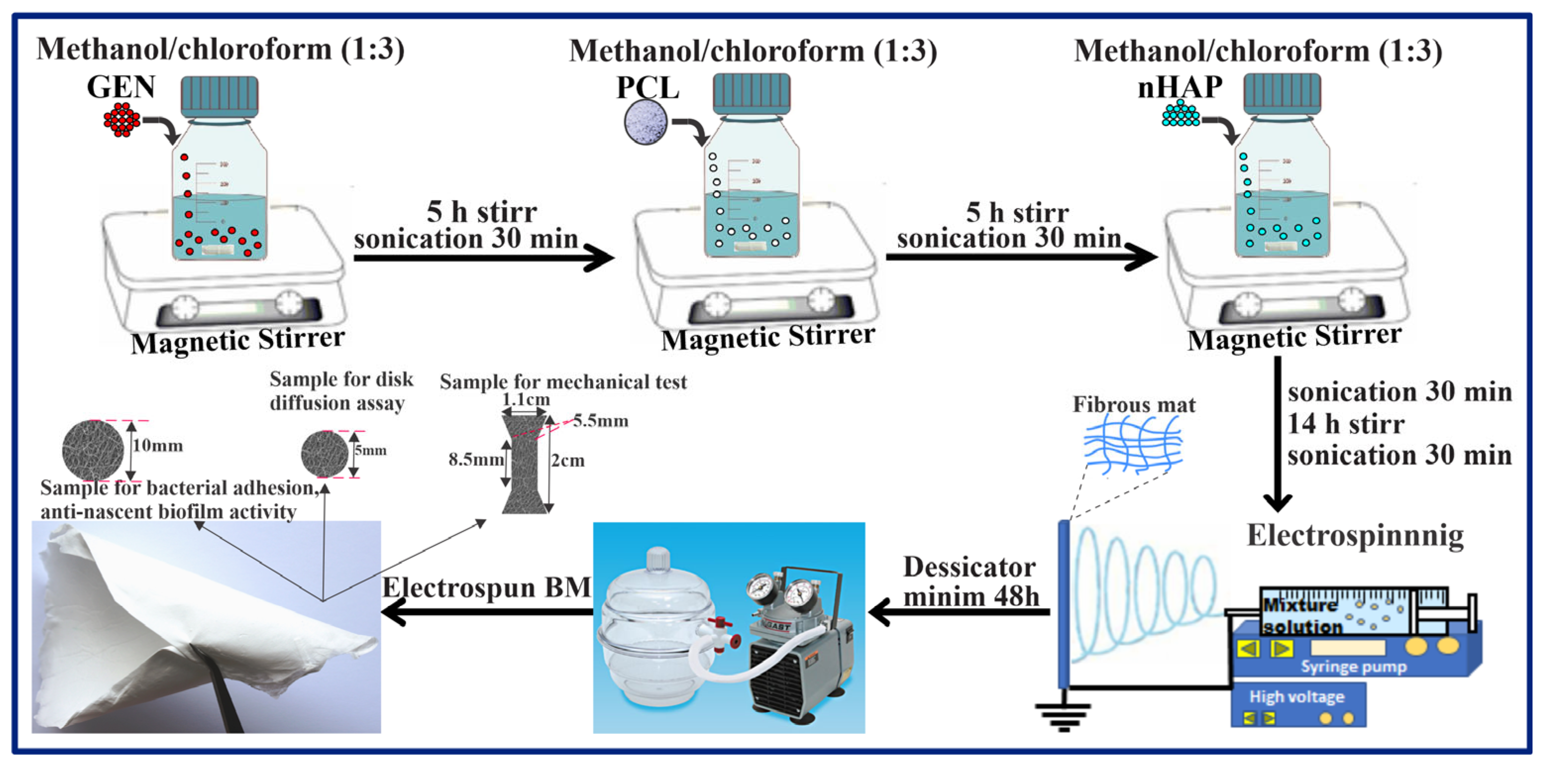 Biomedicines 13 02349 g001