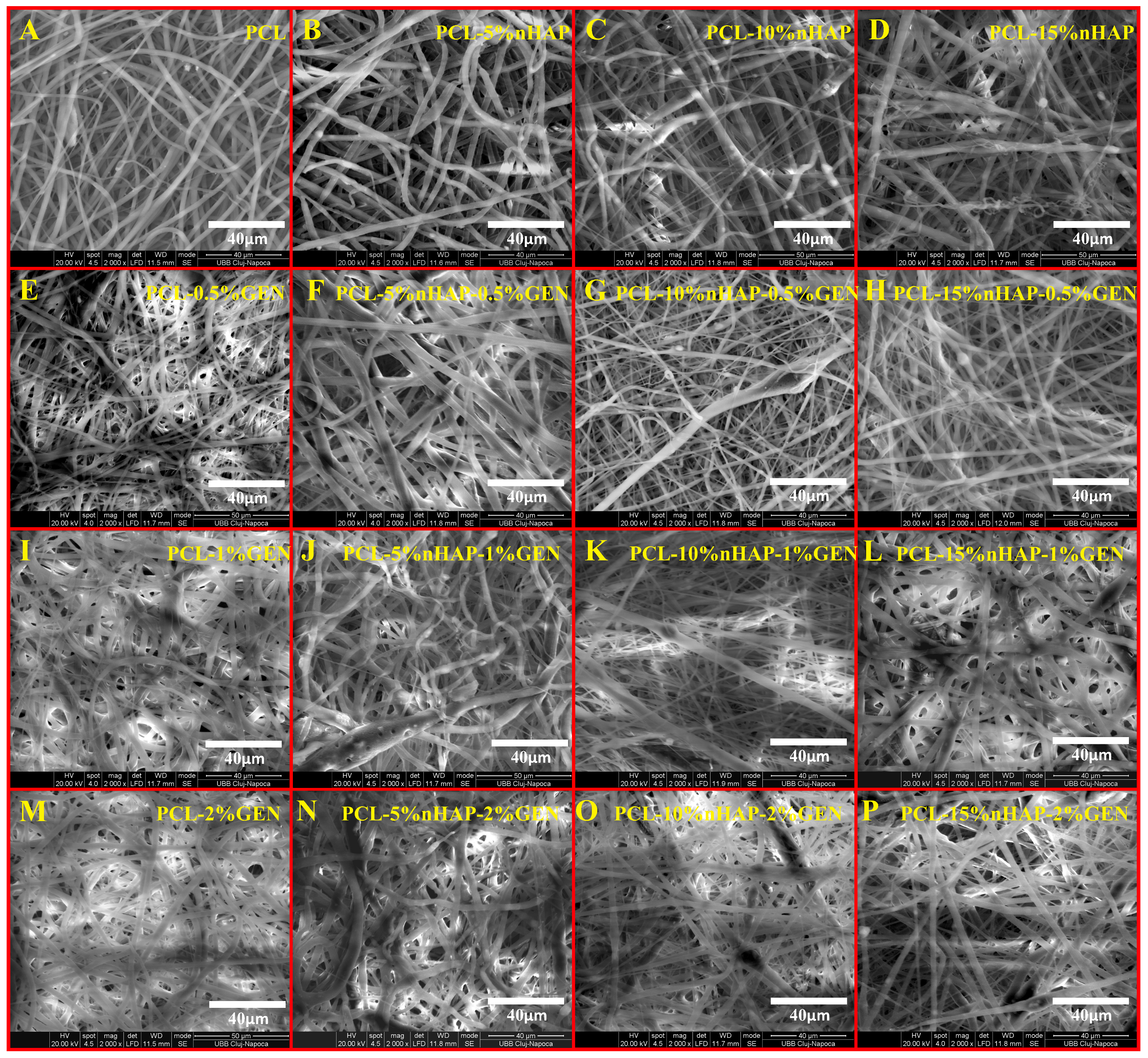 Biomedicines 13 02349 g005