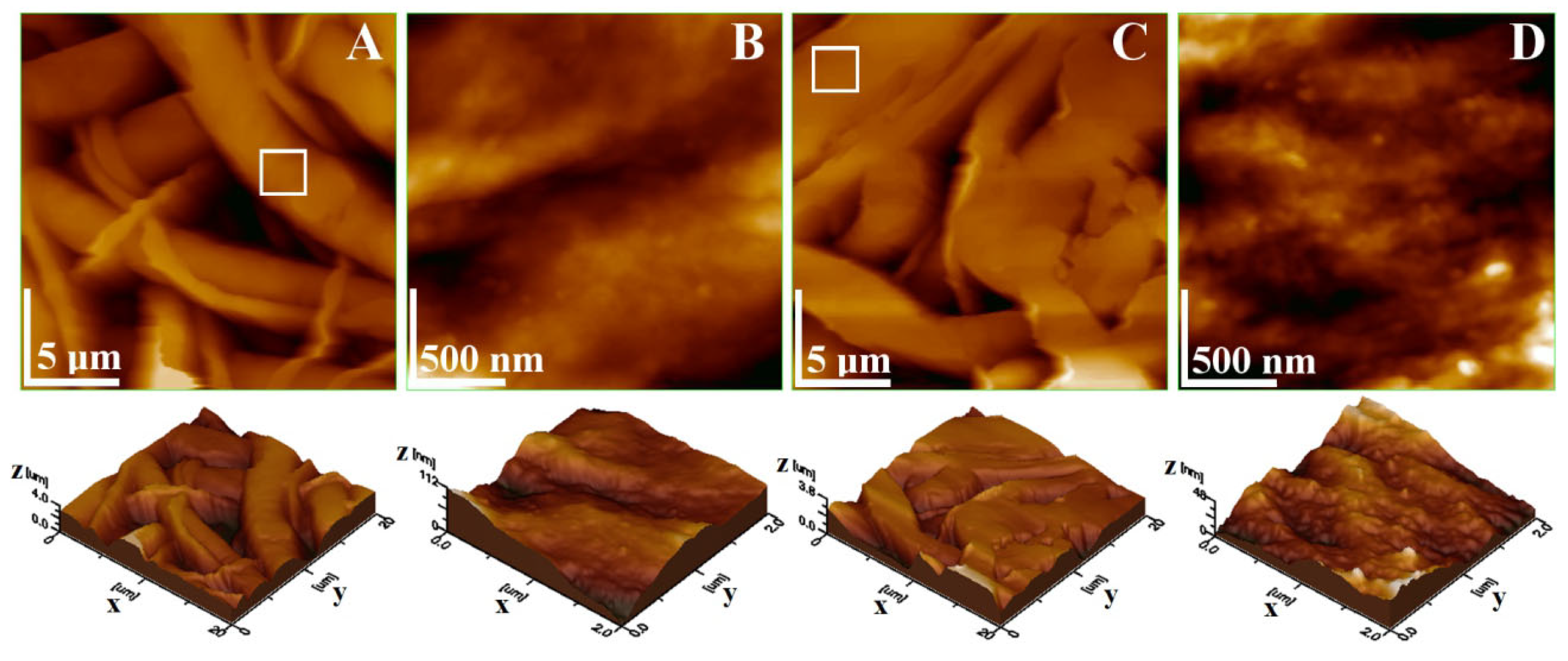 Biomedicines 13 02349 g014