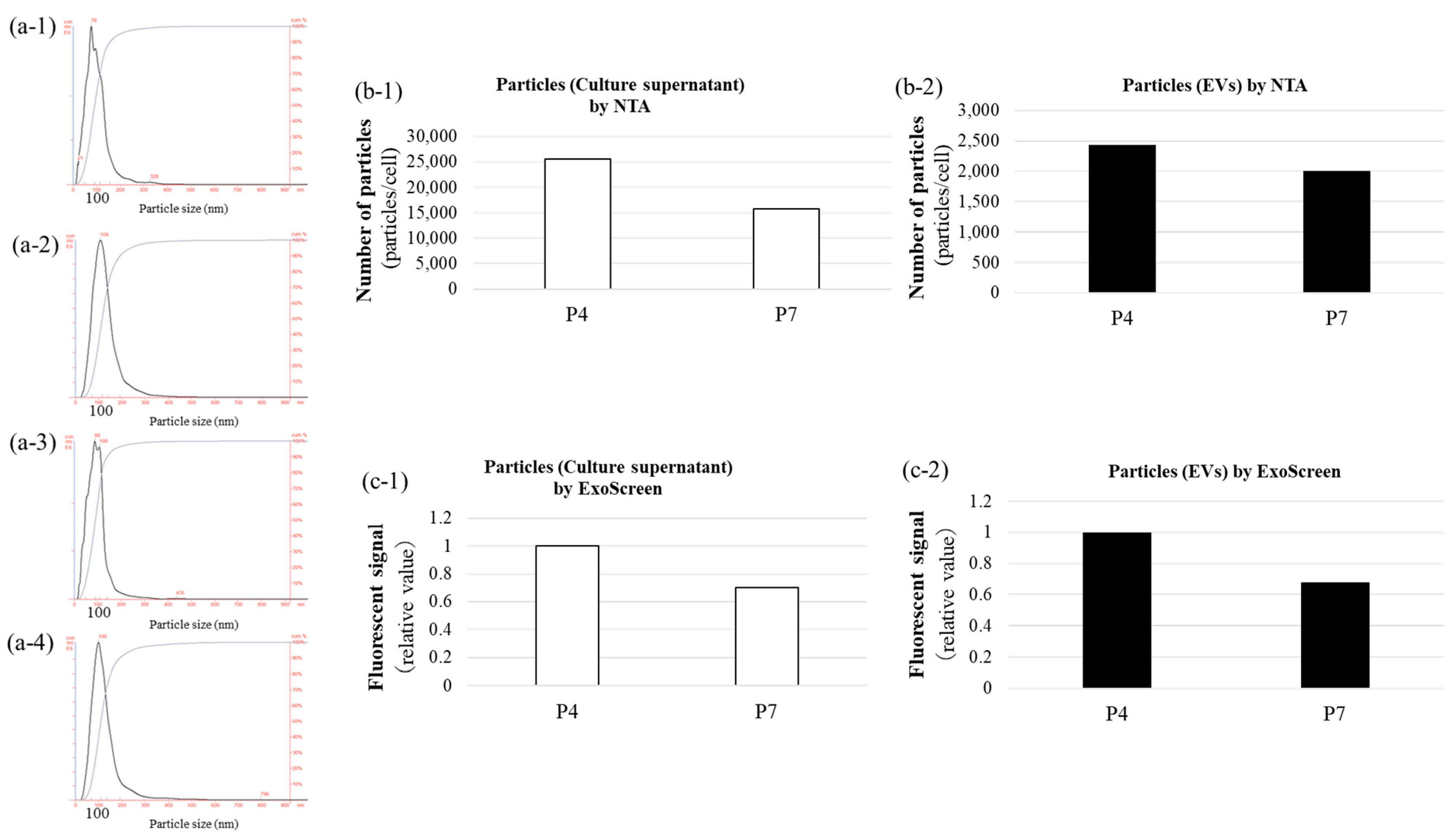 Biomedicines 13 02353 g001