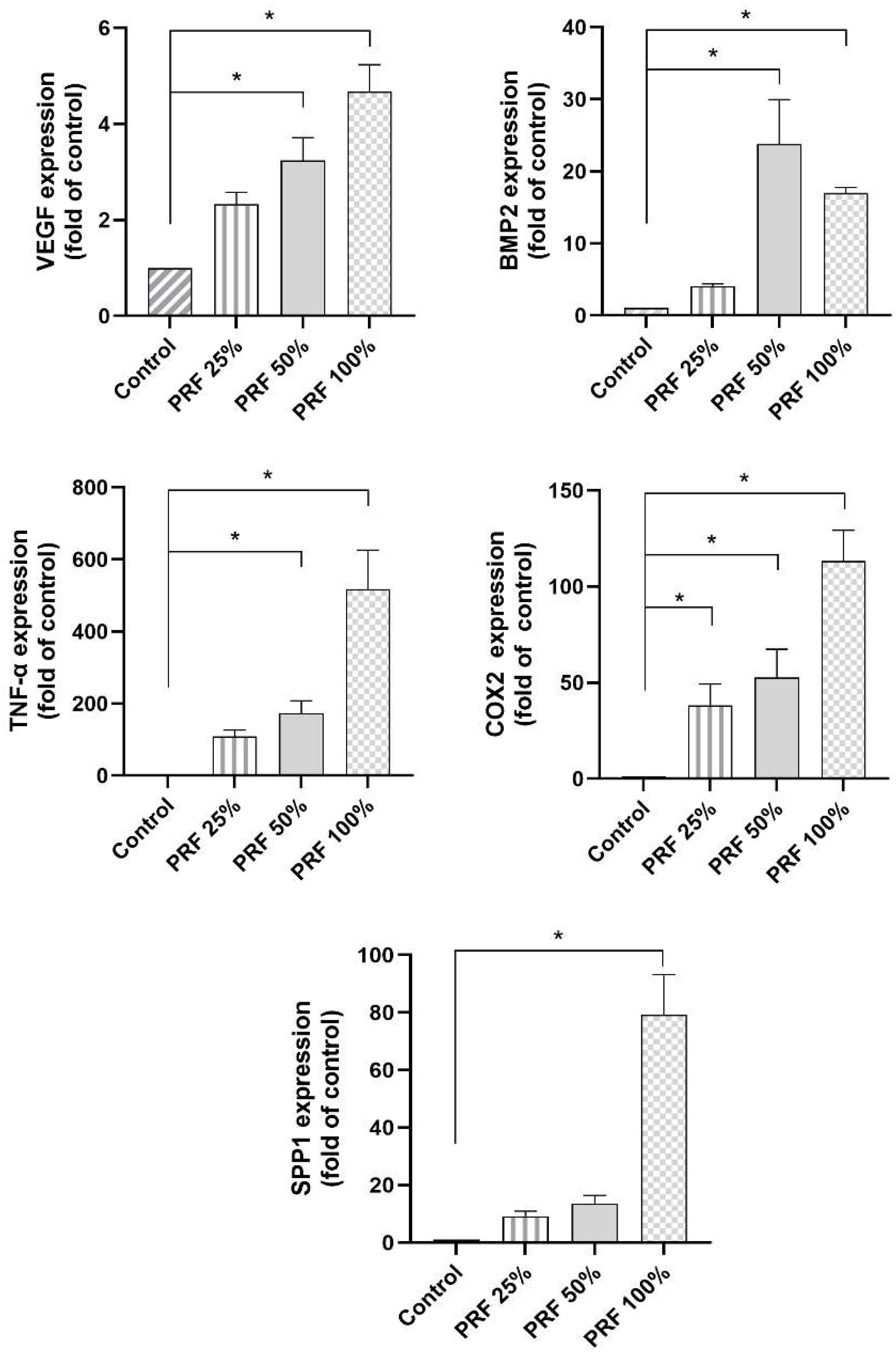 Biomedicines 13 02360 g001