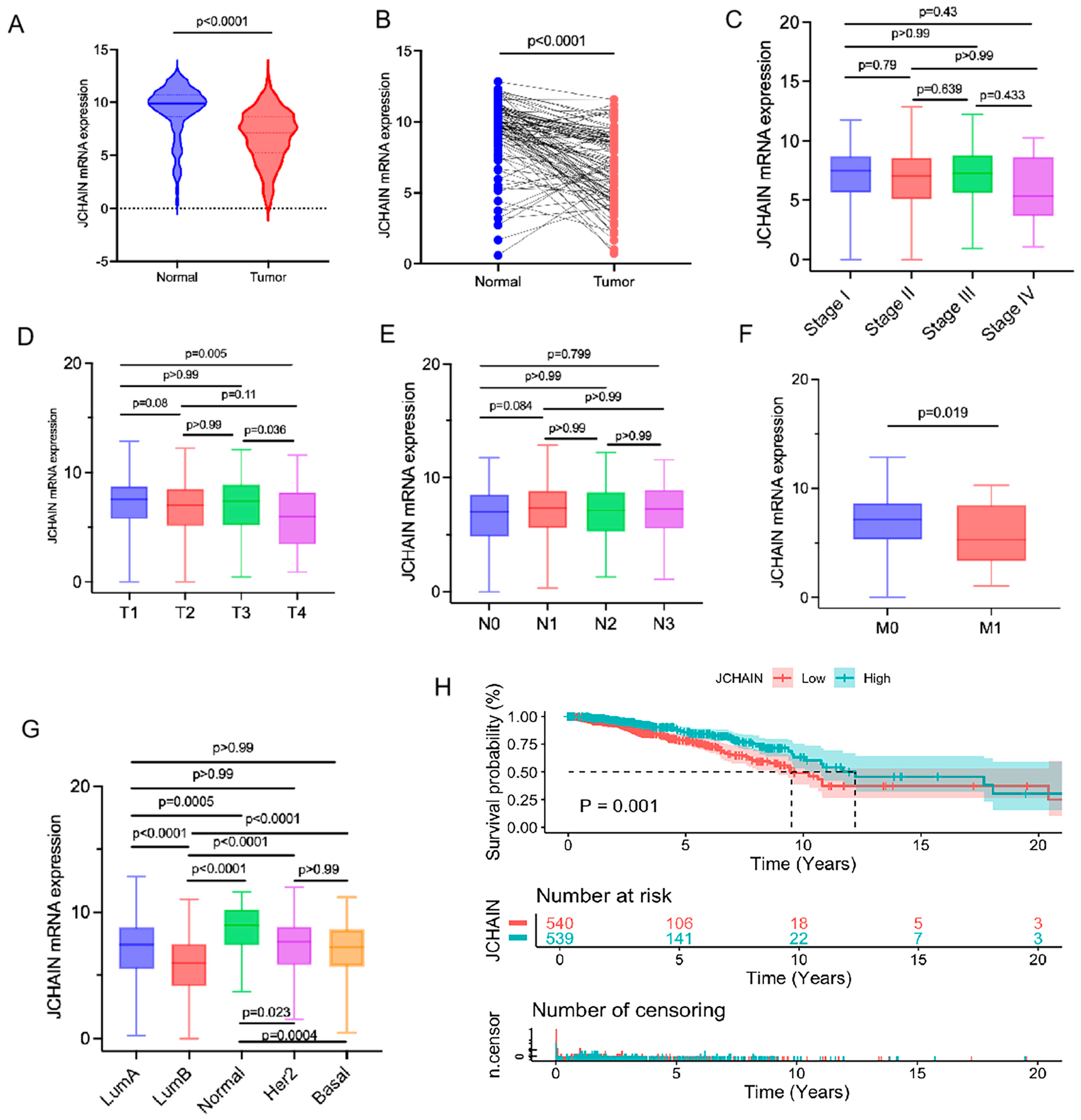 Biomedicines 13 02366 g005 Biomedicines 13 02366 g005