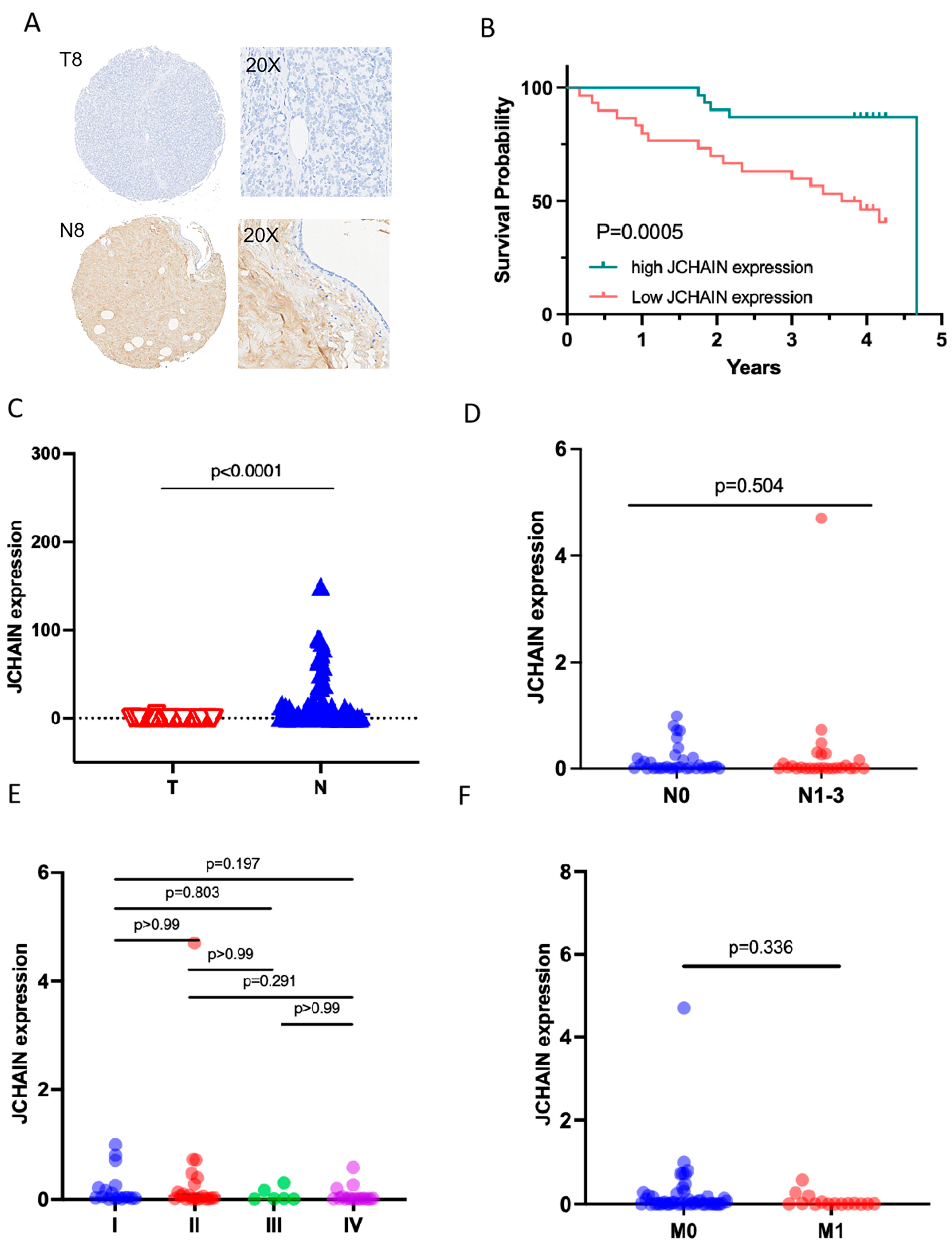 Biomedicines 13 02366 g006 Biomedicines 13 02366 g006