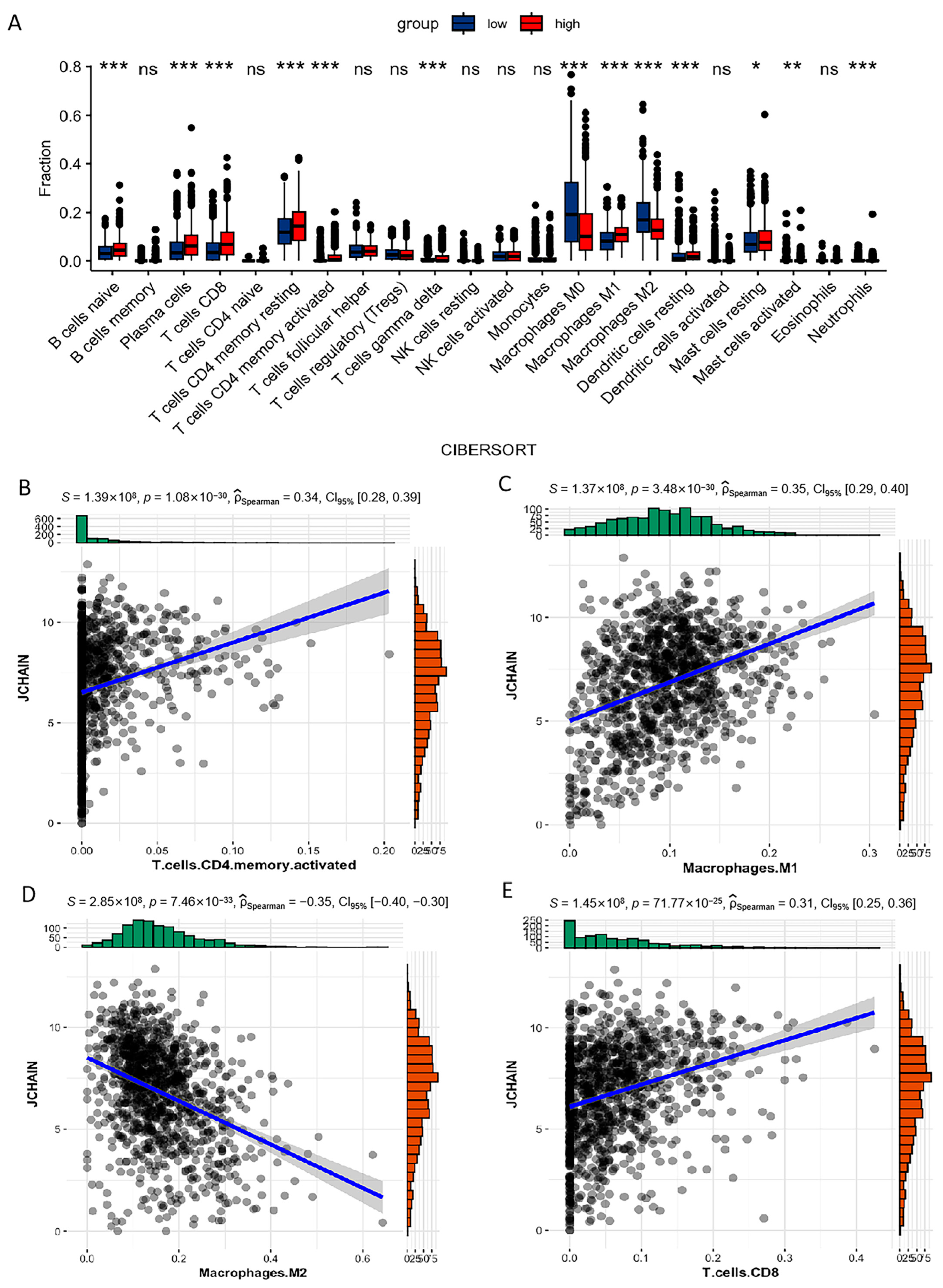 Biomedicines 13 02366 g008 Biomedicines 13 02366 g008