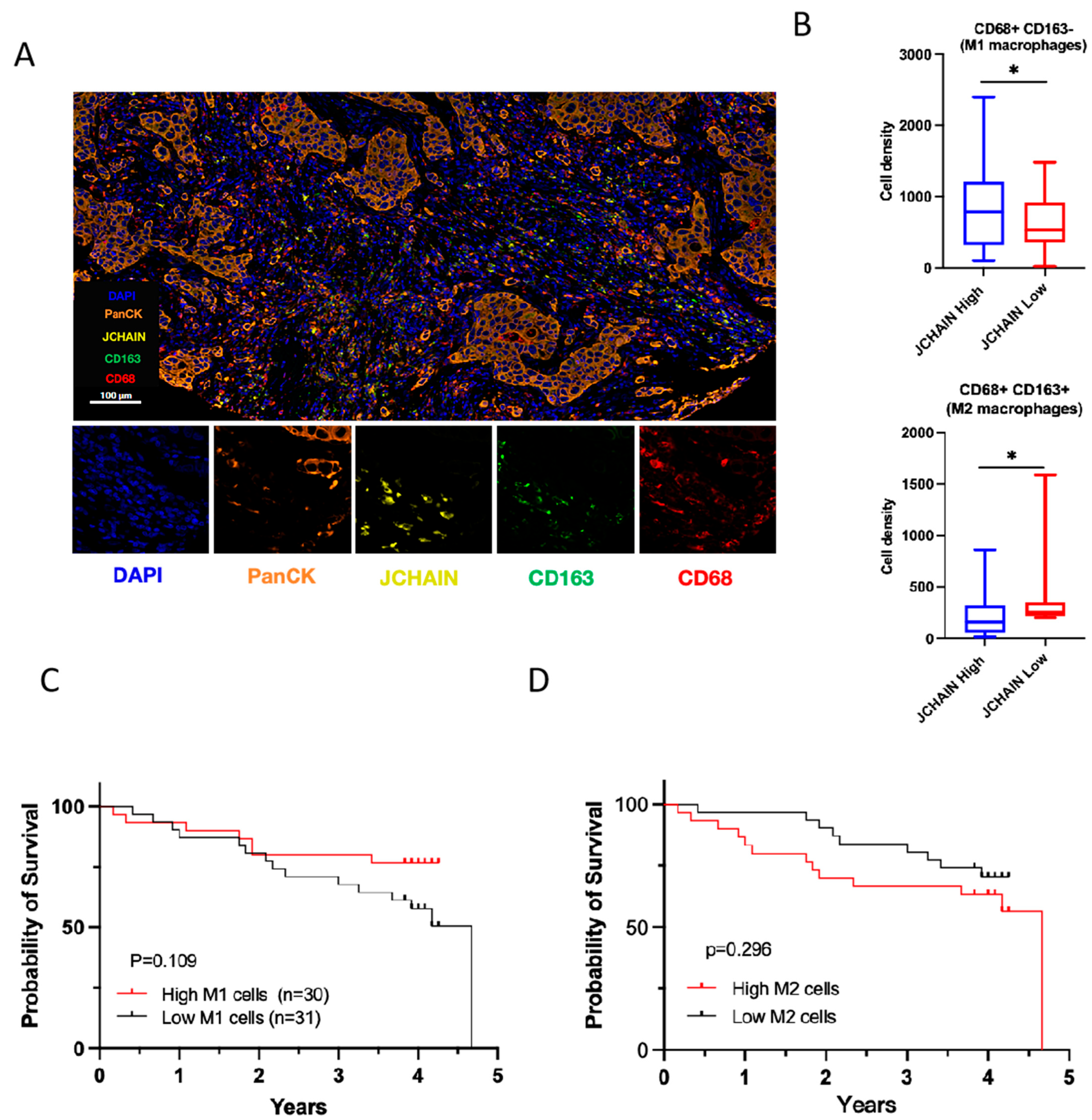 Biomedicines 13 02366 g009 Biomedicines 13 02366 g009