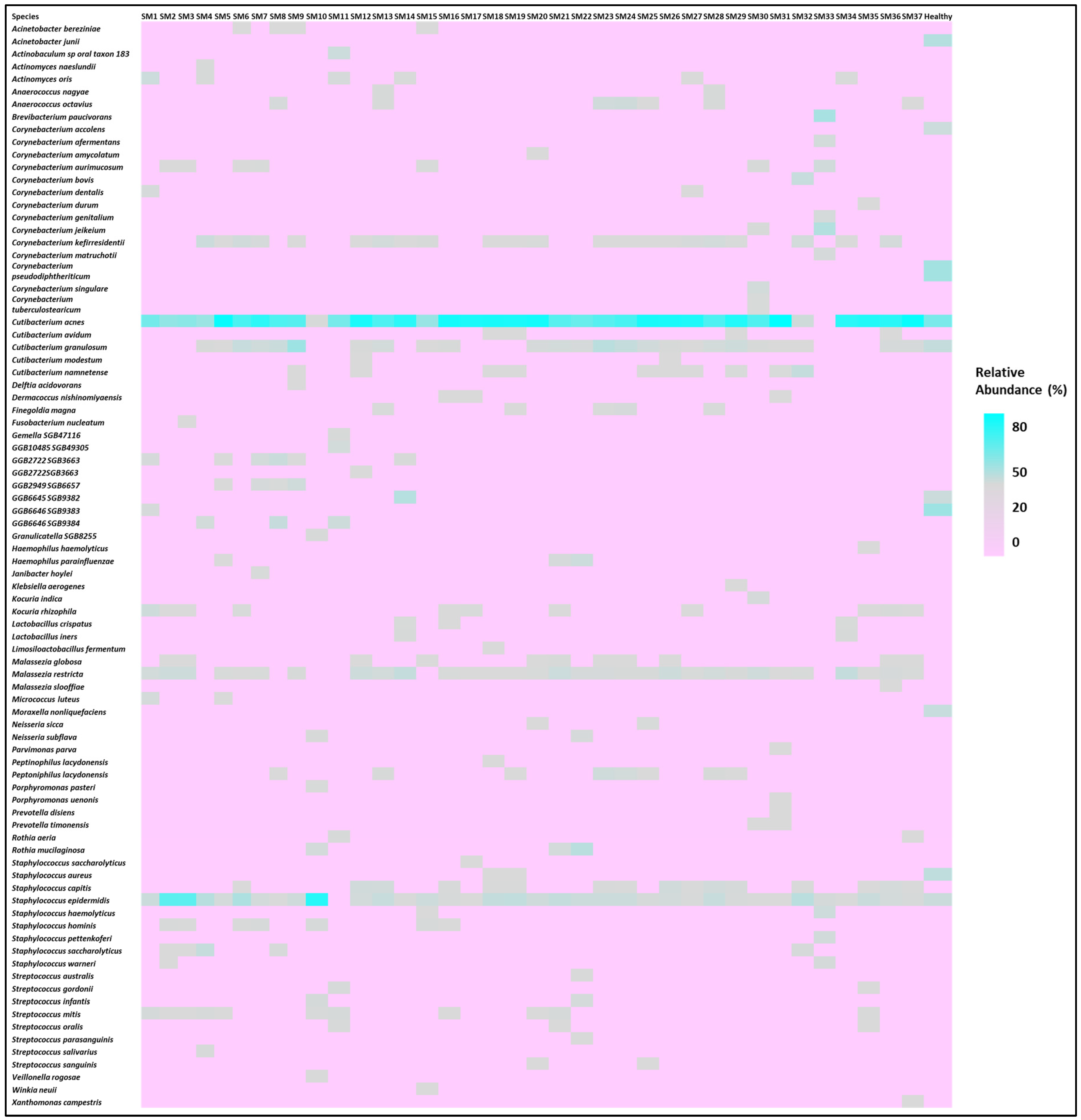 Biomedicines 13 02371 g002