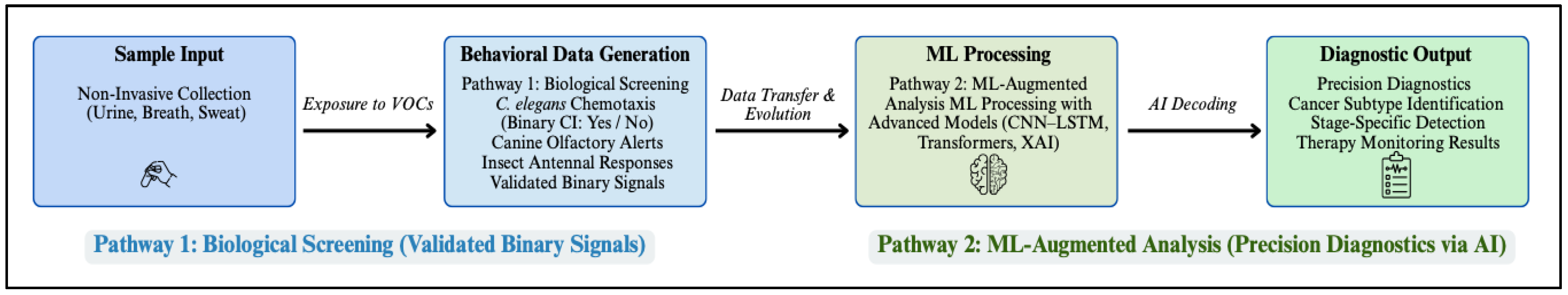 Biomedicines 13 02409 g001