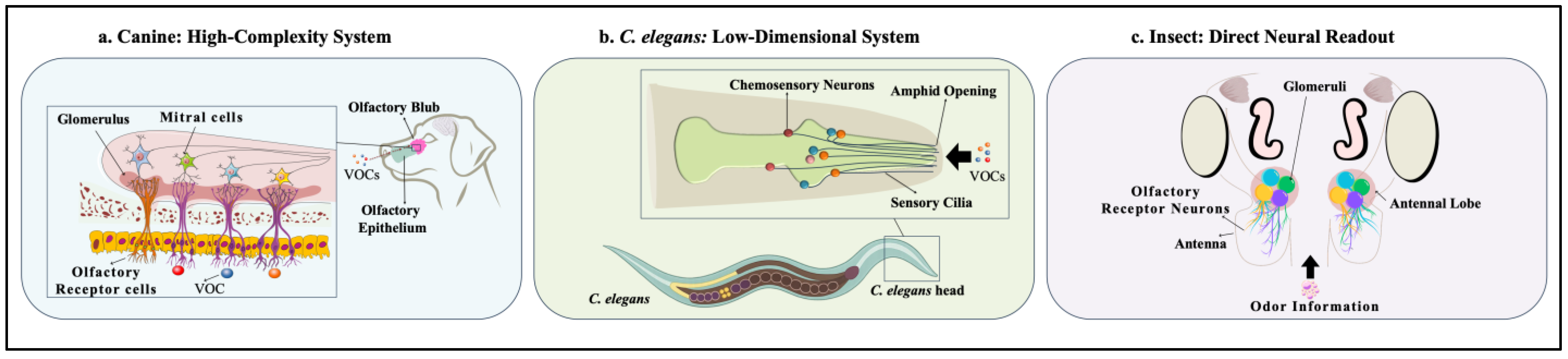Biomedicines 13 02409 g002