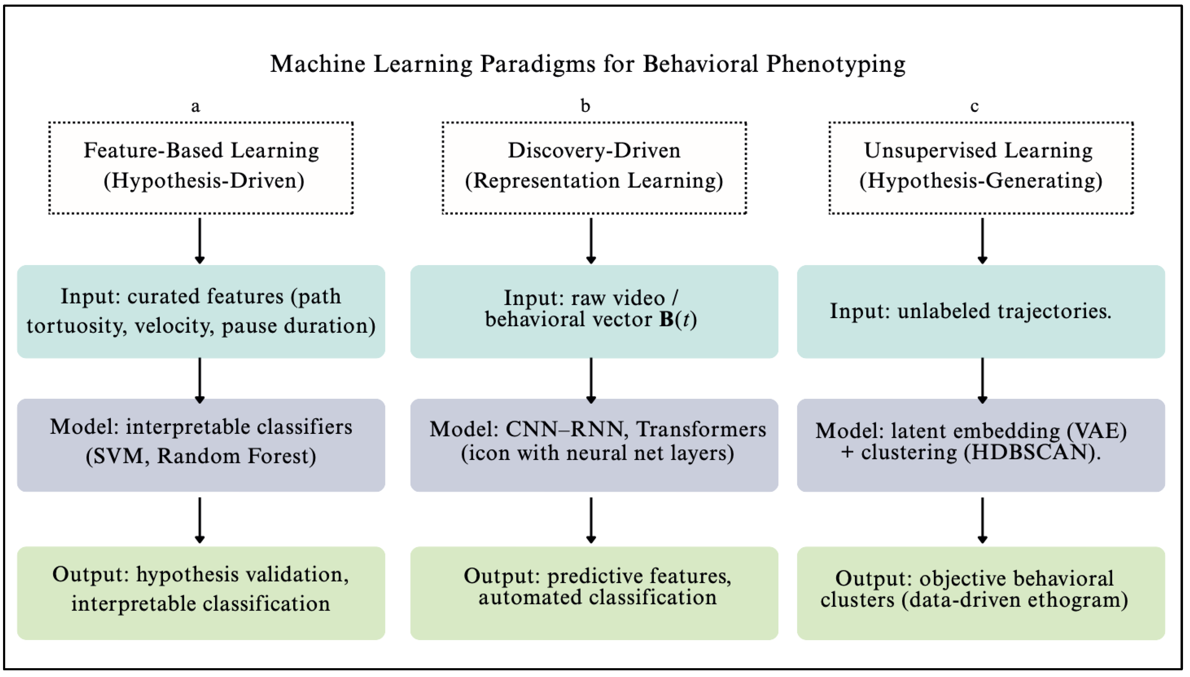 Biomedicines 13 02409 g003