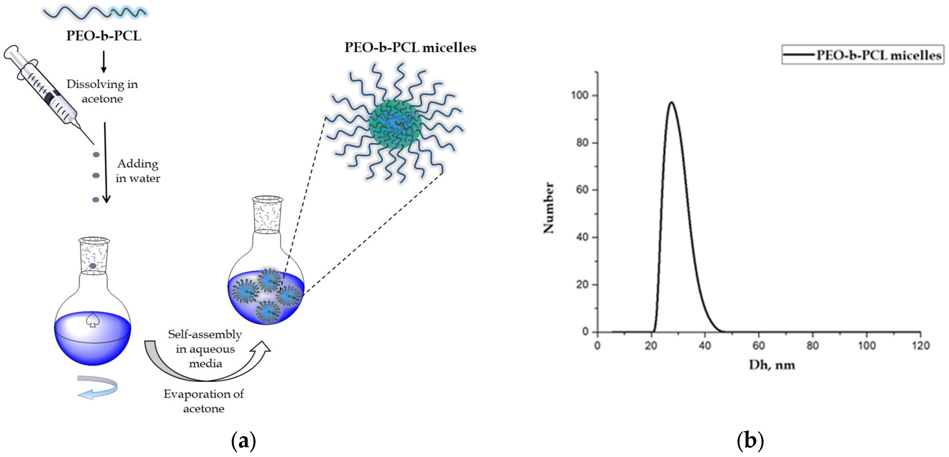 Biomedicines 13 02417 g001 Biomedicines 13 02417 g001