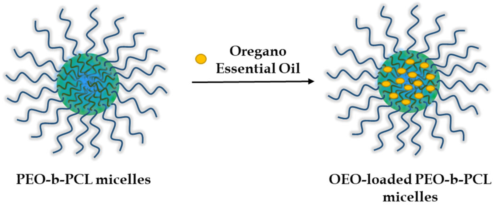Biomedicines 13 02417 g002 Biomedicines 13 02417 g002