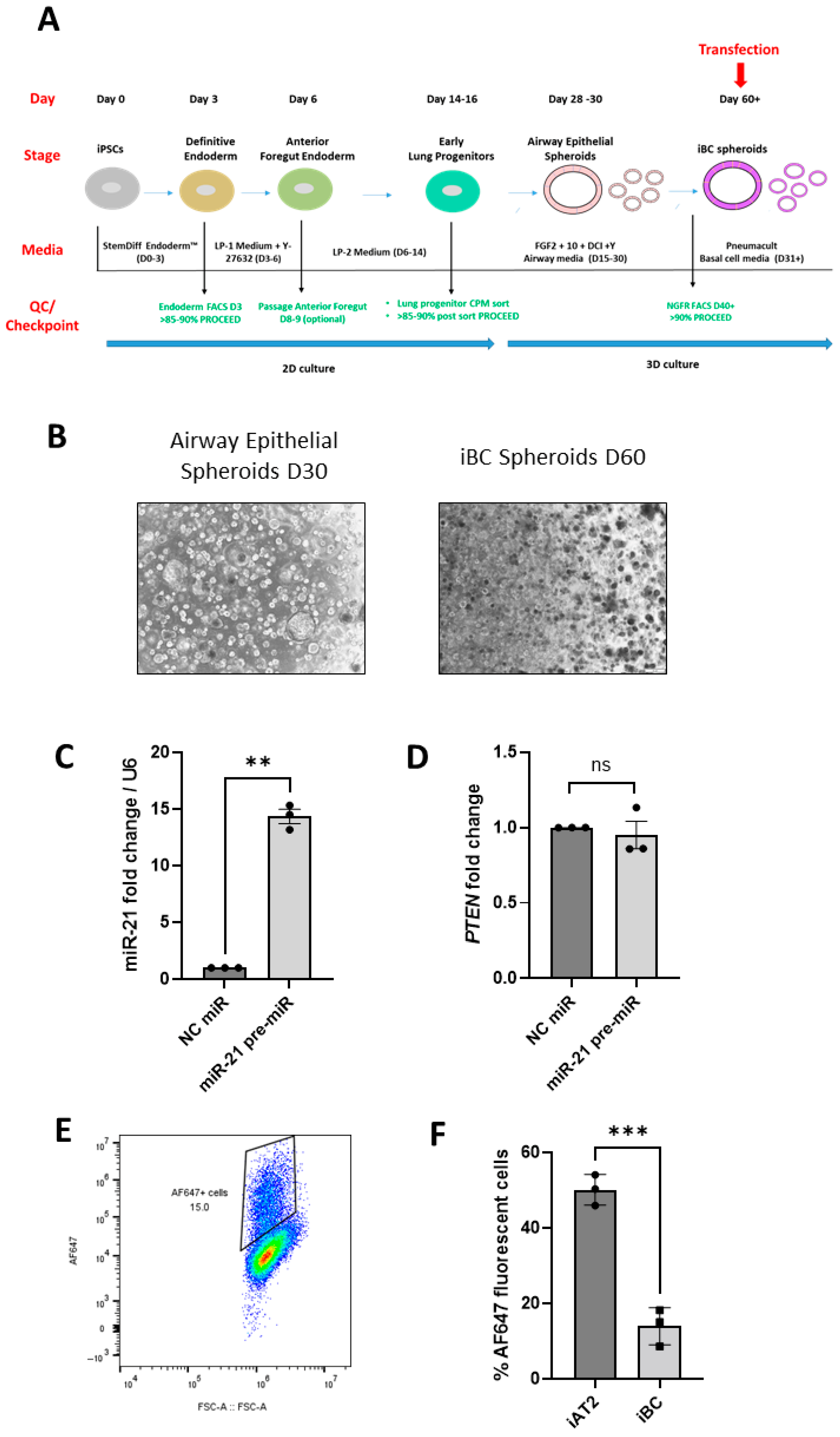 Biomedicines 13 02419 g003 Biomedicines 13 02419 g003