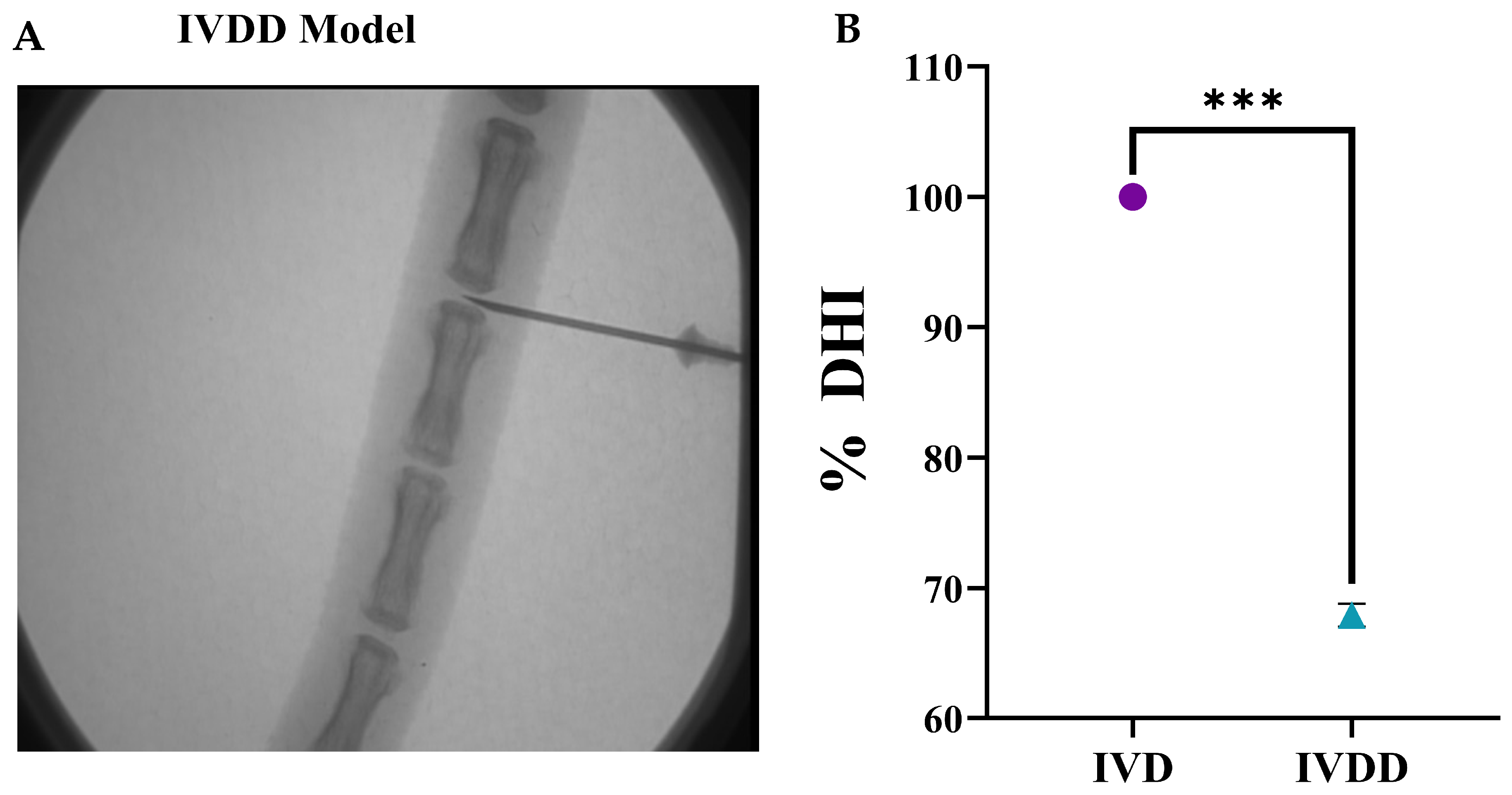 Biomedicines 13 02420 g002a