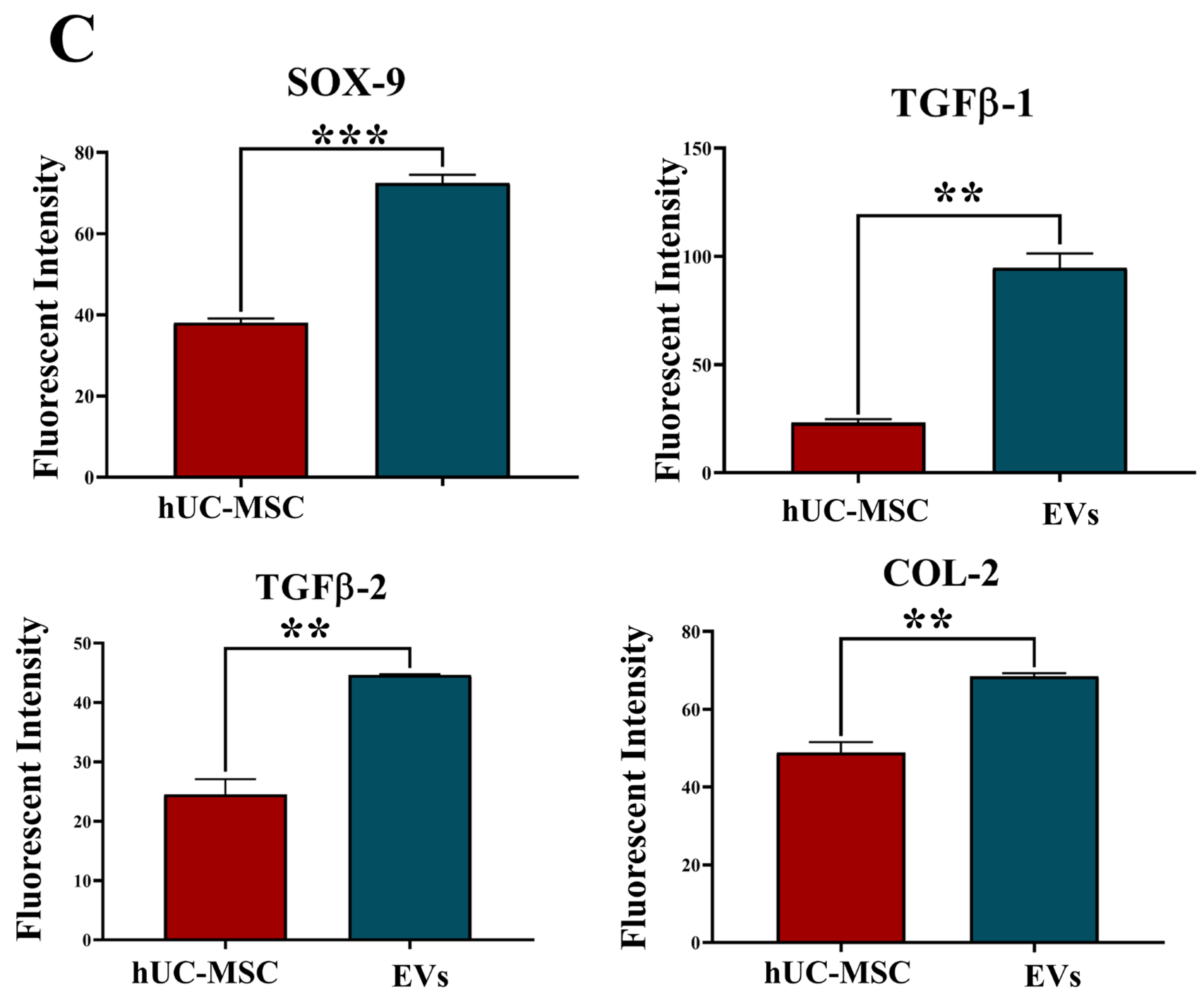 Biomedicines 13 02420 g005c