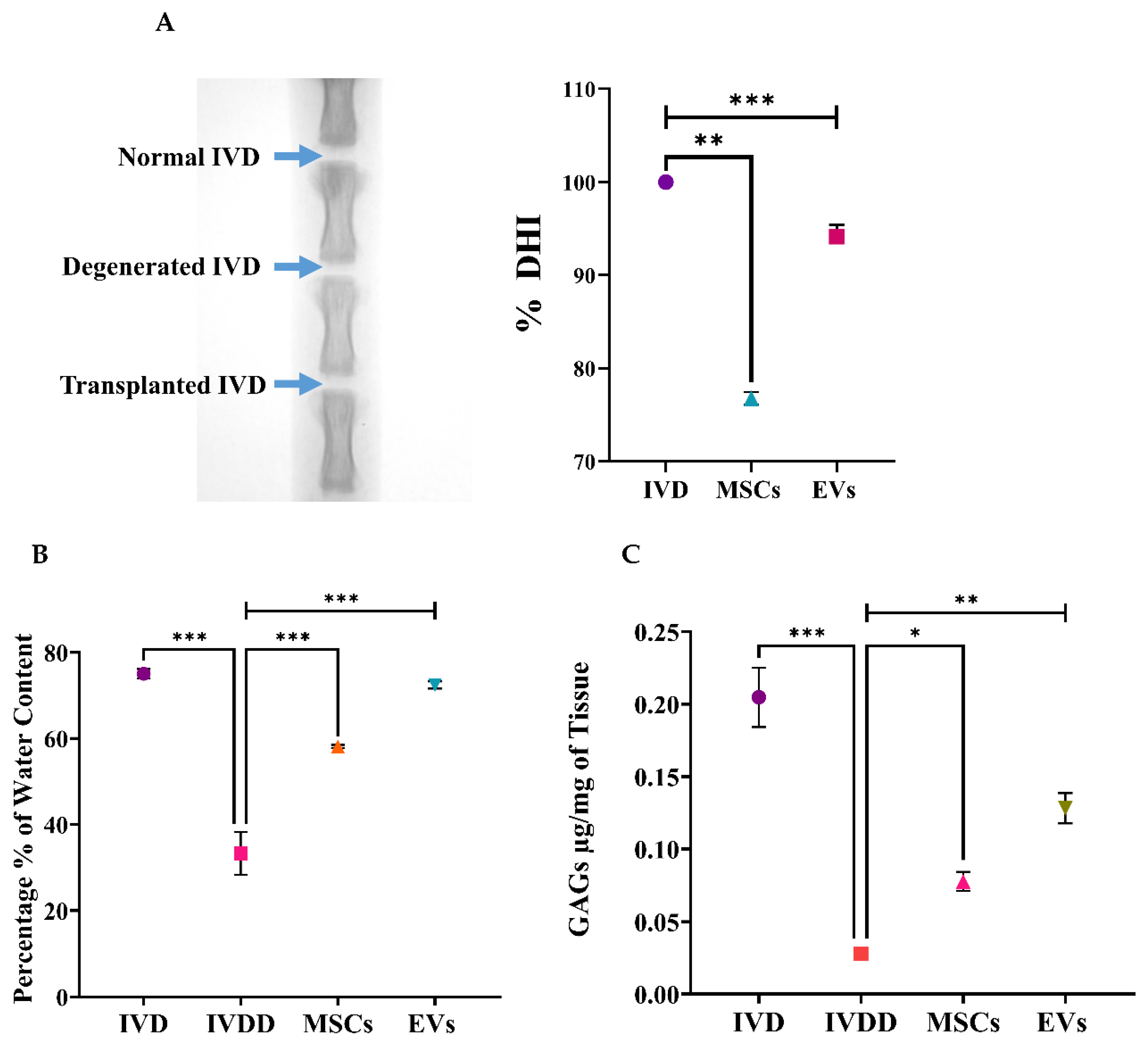 Biomedicines 13 02420 g006