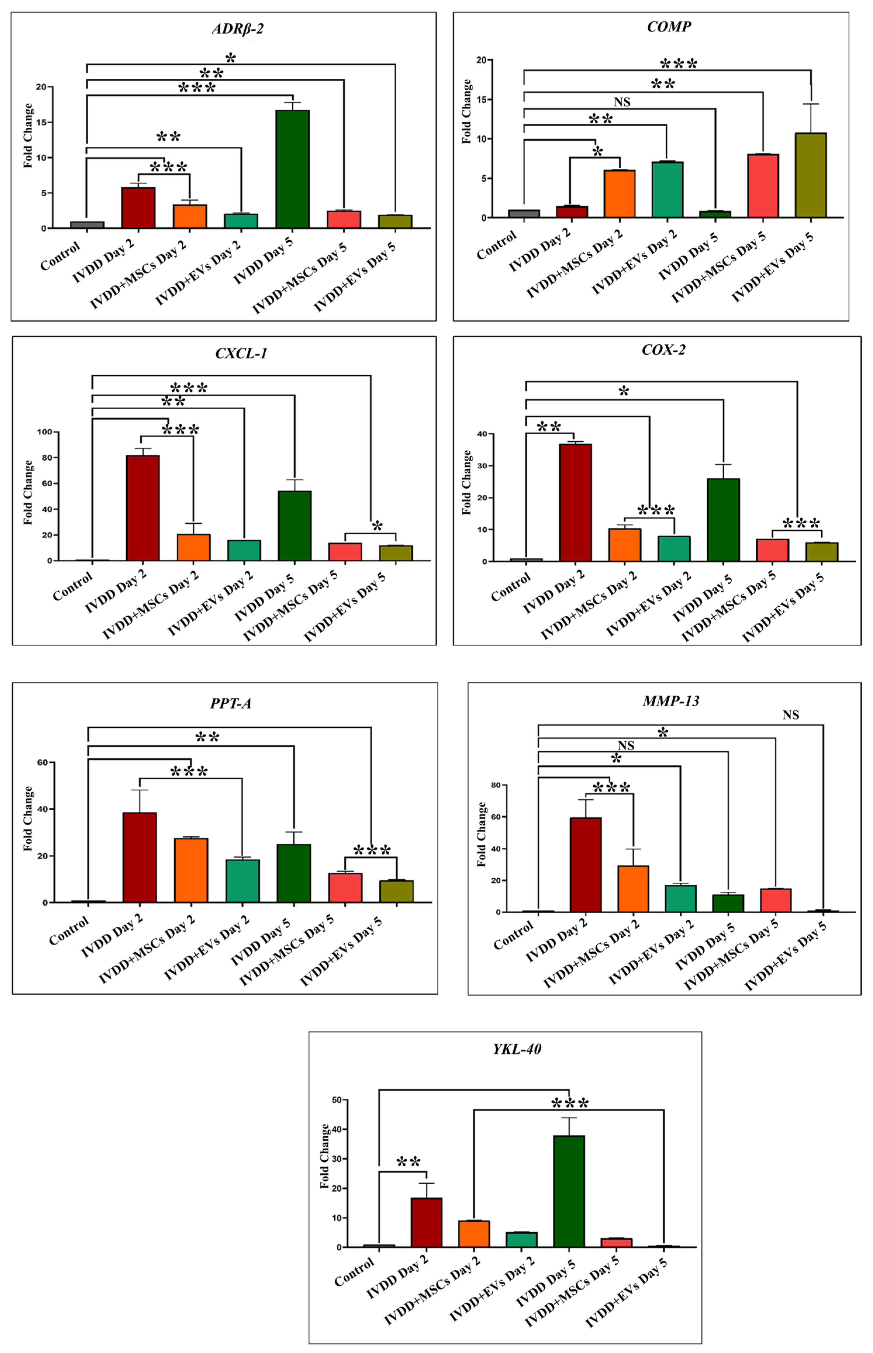 Biomedicines 13 02420 g007