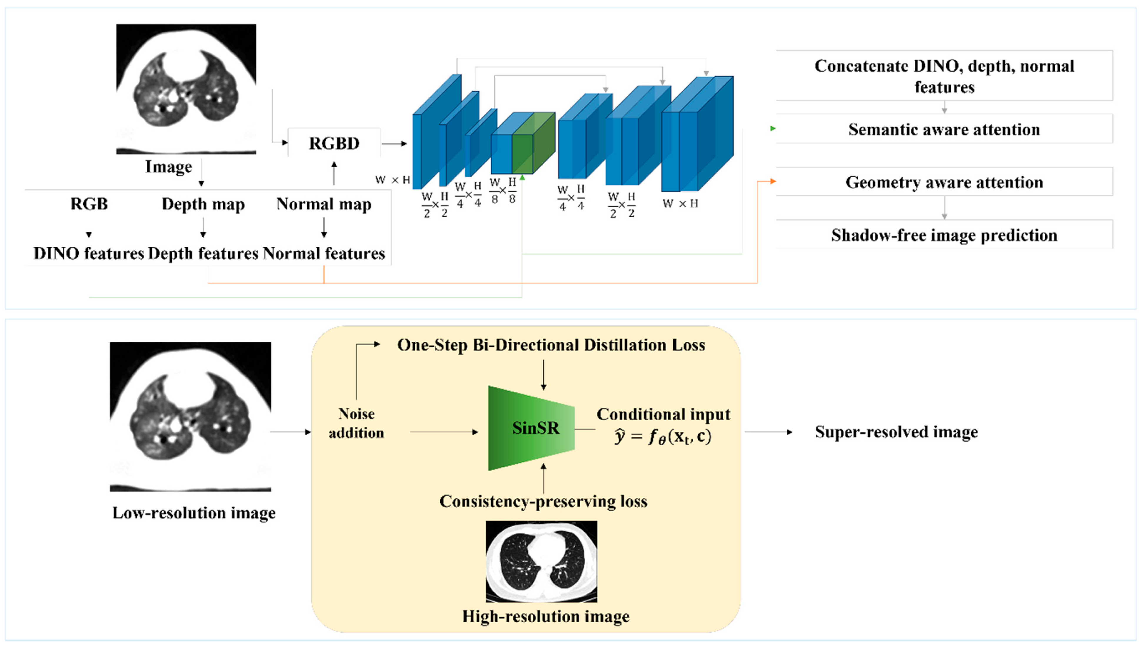 Biomedicines 13 02421 g001 Biomedicines 13 02421 g001