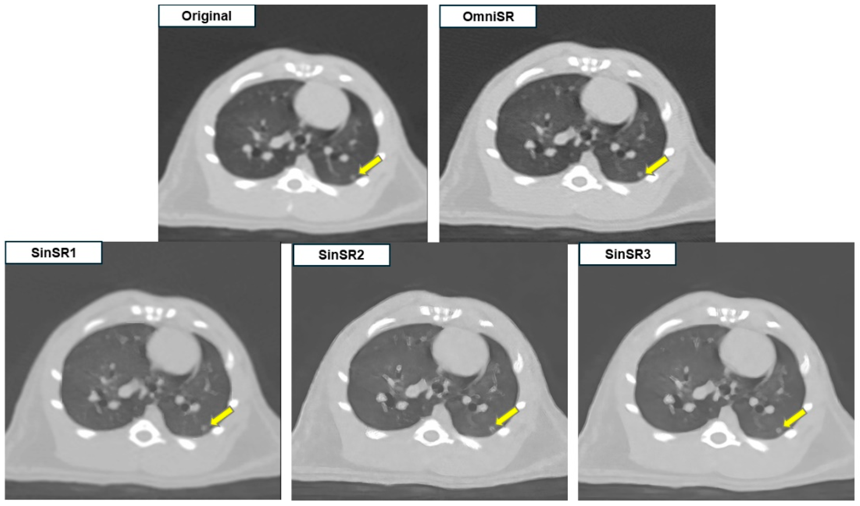 Biomedicines 13 02421 g002 Biomedicines 13 02421 g002