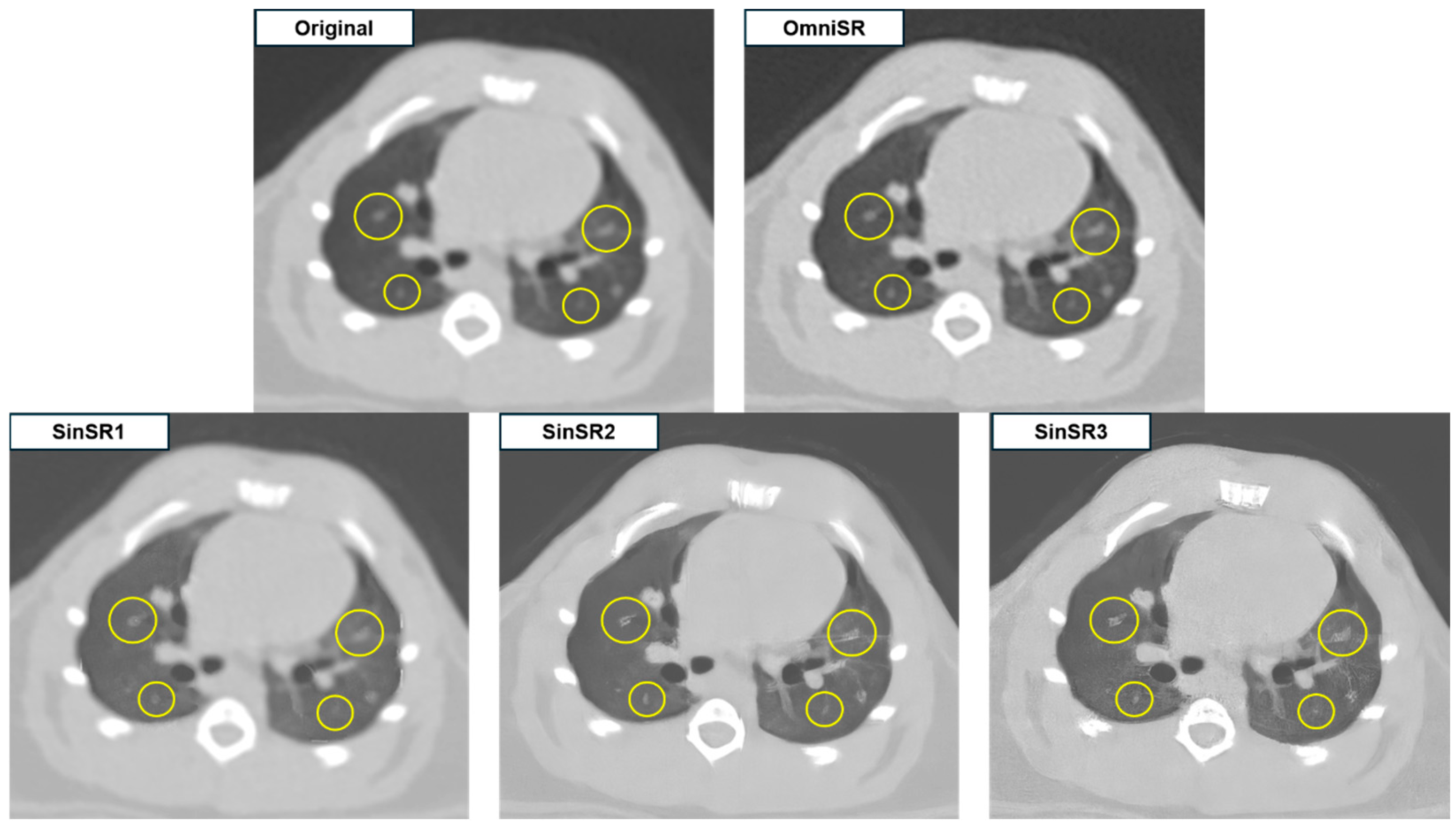 Biomedicines 13 02421 g003 Biomedicines 13 02421 g003