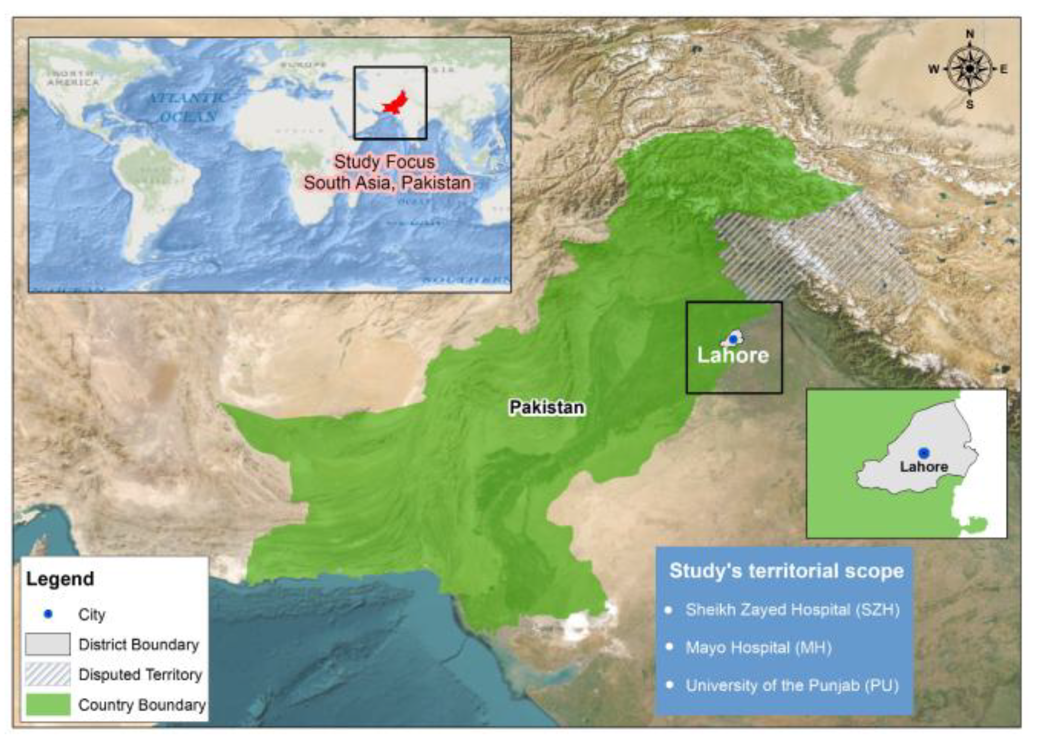 Biomedicines 13 02423 g0a1 Biomedicines 13 02423 g0a1
