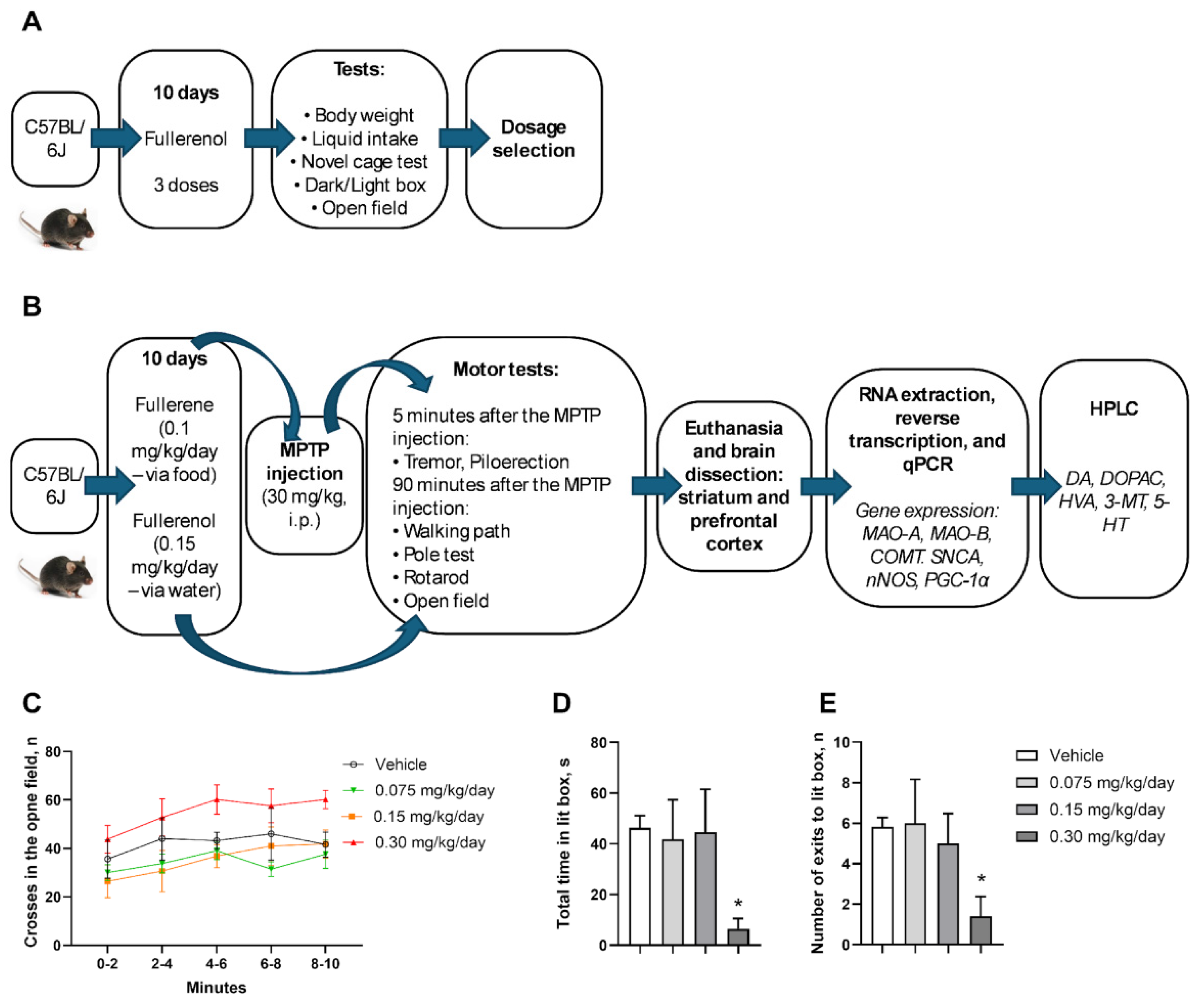Biomedicines 13 02425 g001 Biomedicines 13 02425 g001