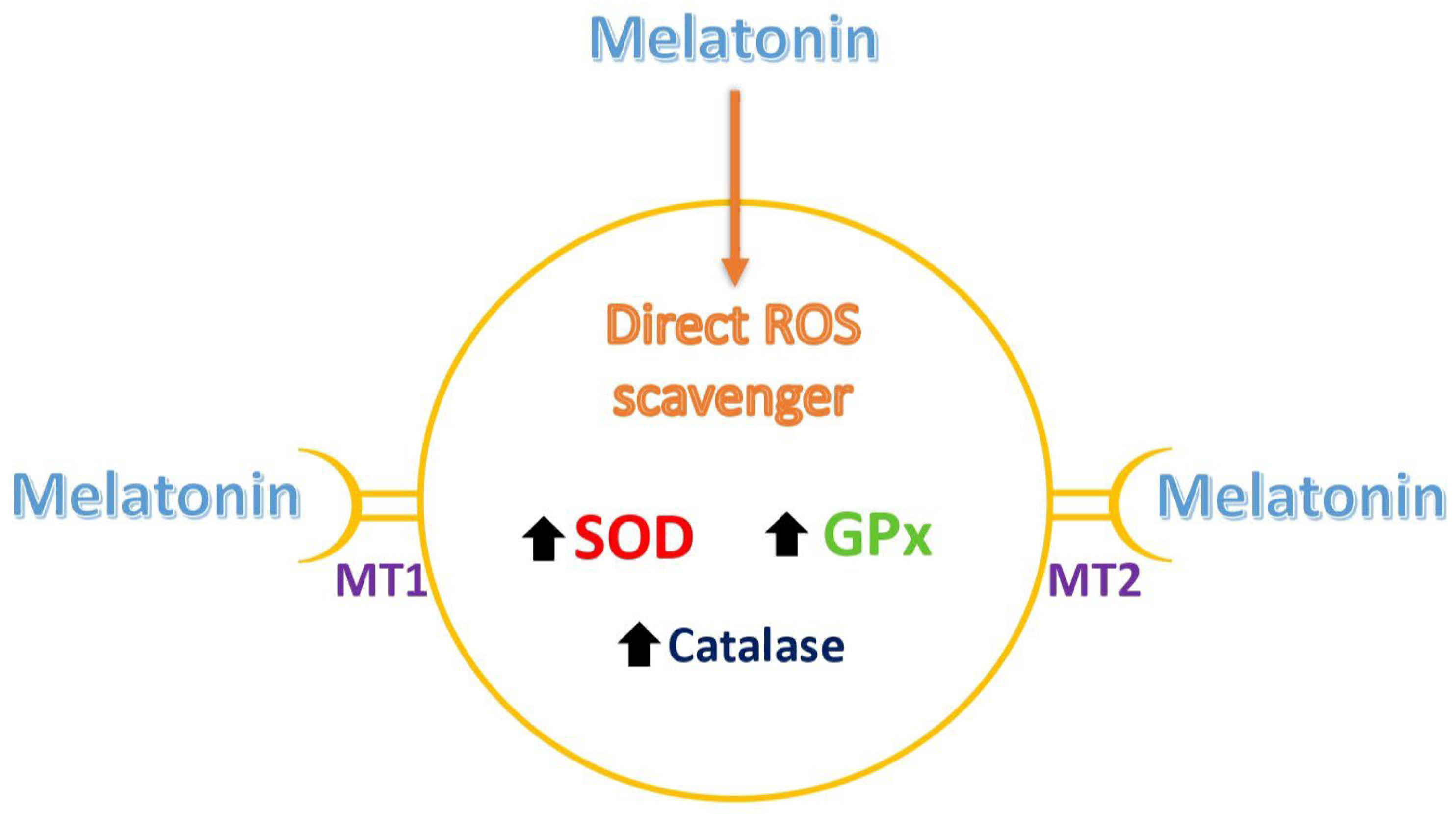 Biomedicines 13 02434 g001 Biomedicines 13 02434 g001
