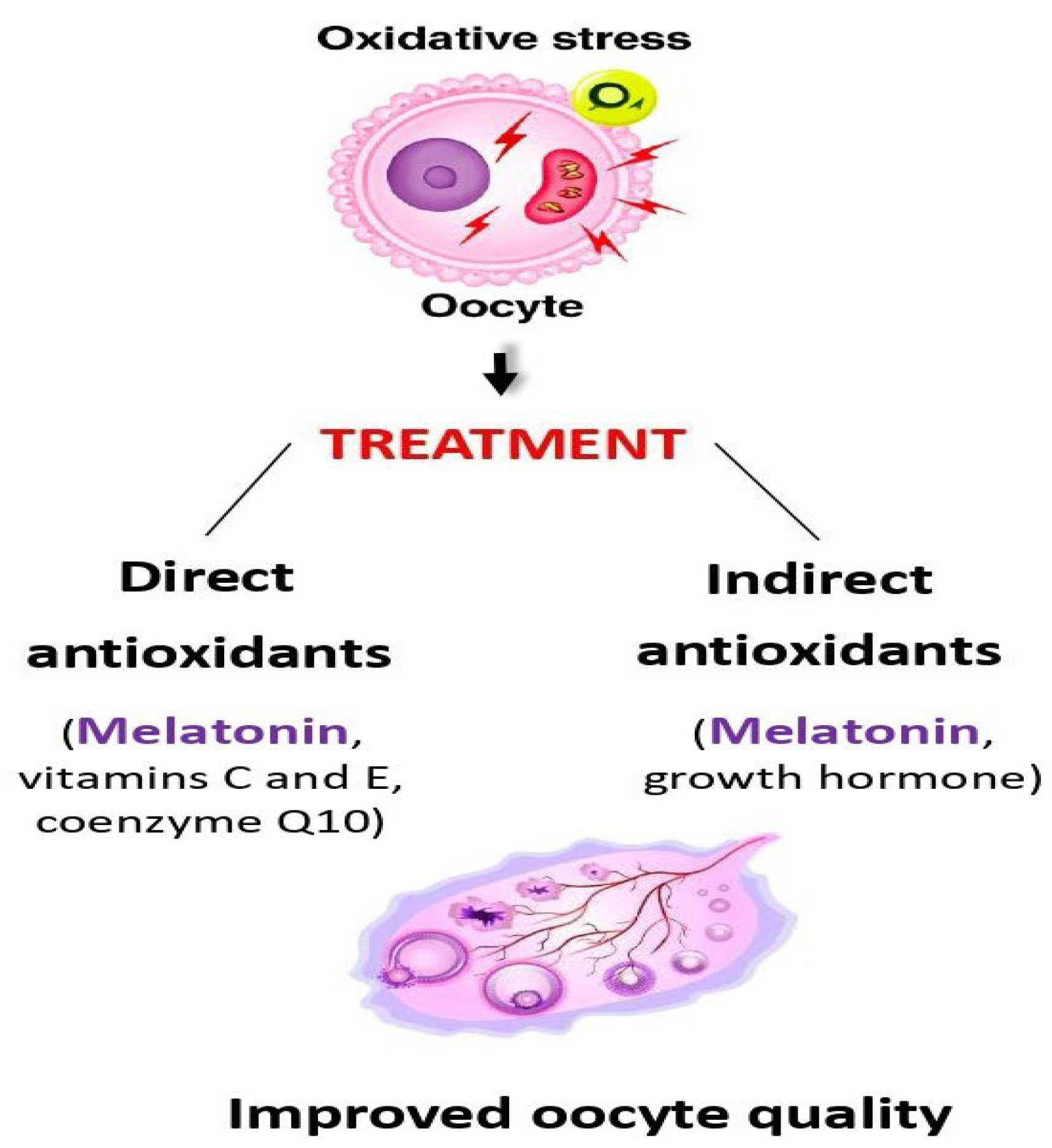 Biomedicines 13 02434 g002 Biomedicines 13 02434 g002