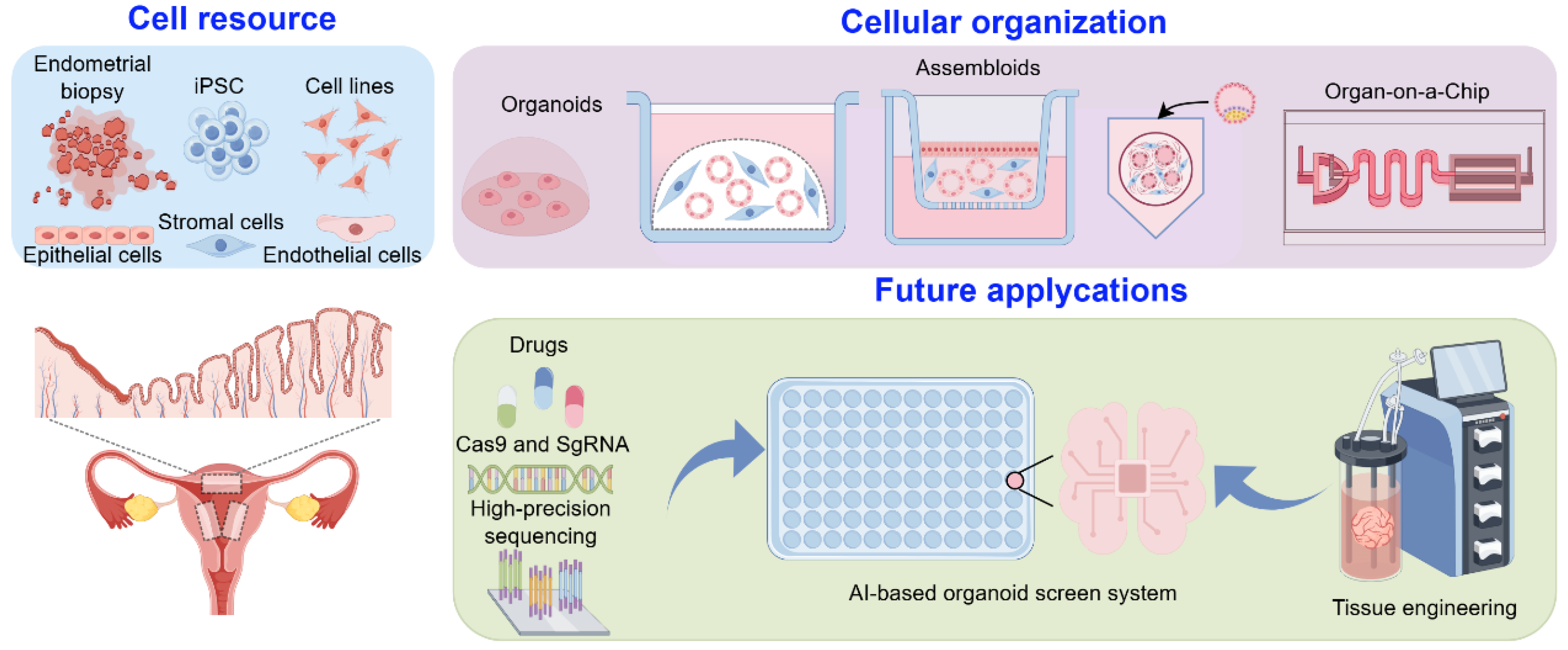 Biomedicines 13 02435 g002 Biomedicines 13 02435 g002