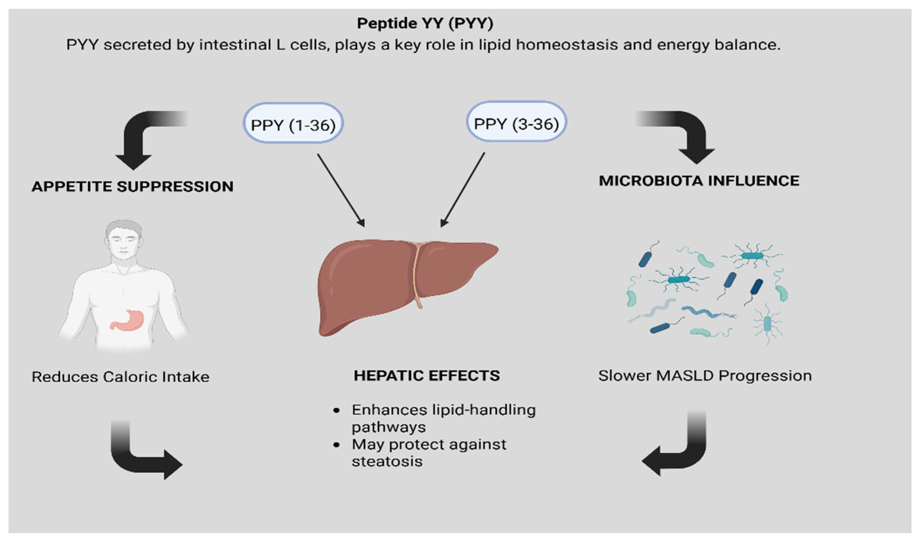 Biomedicines 13 02437 g004 Biomedicines 13 02437 g004