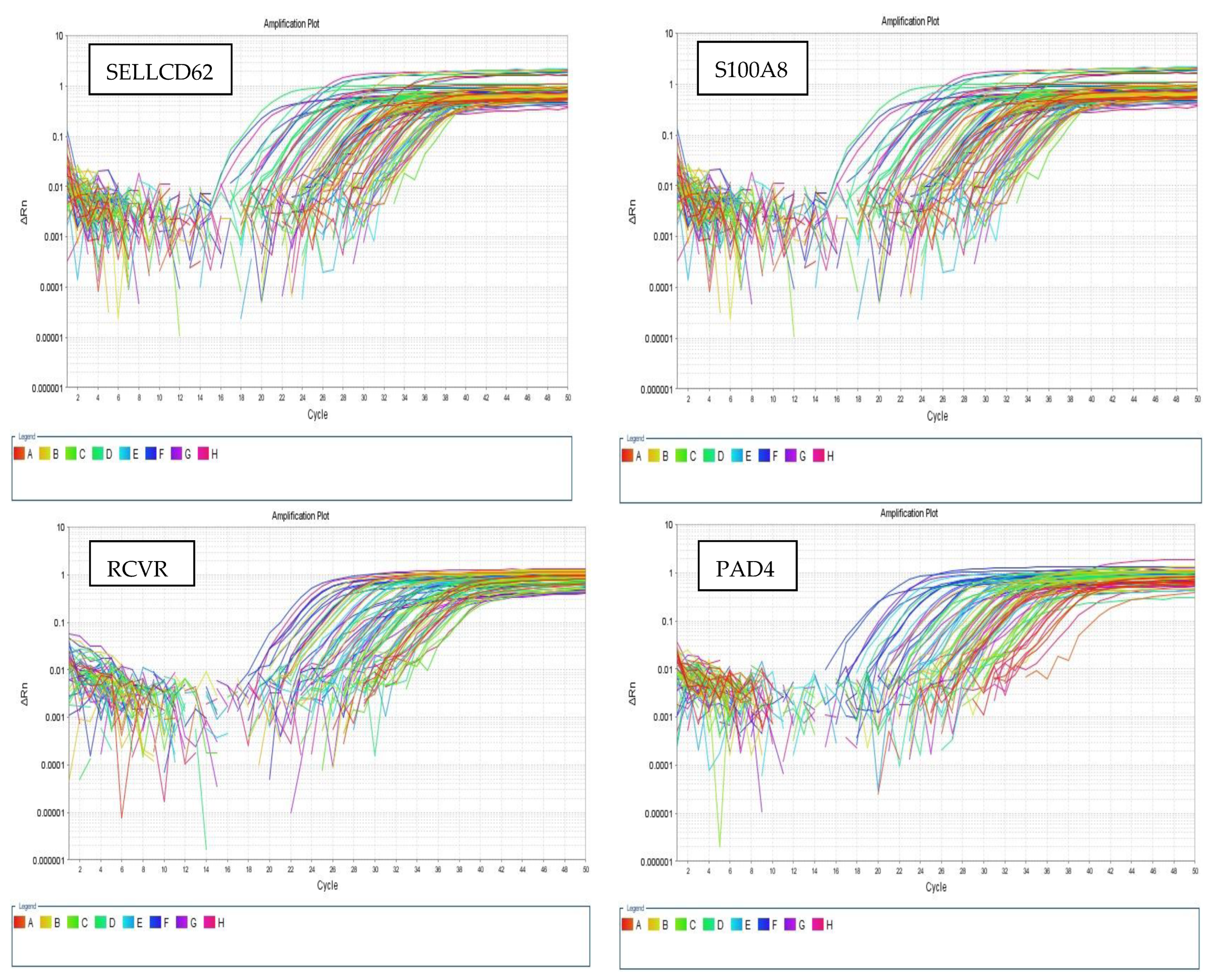 Biomedicines 13 02438 g001a