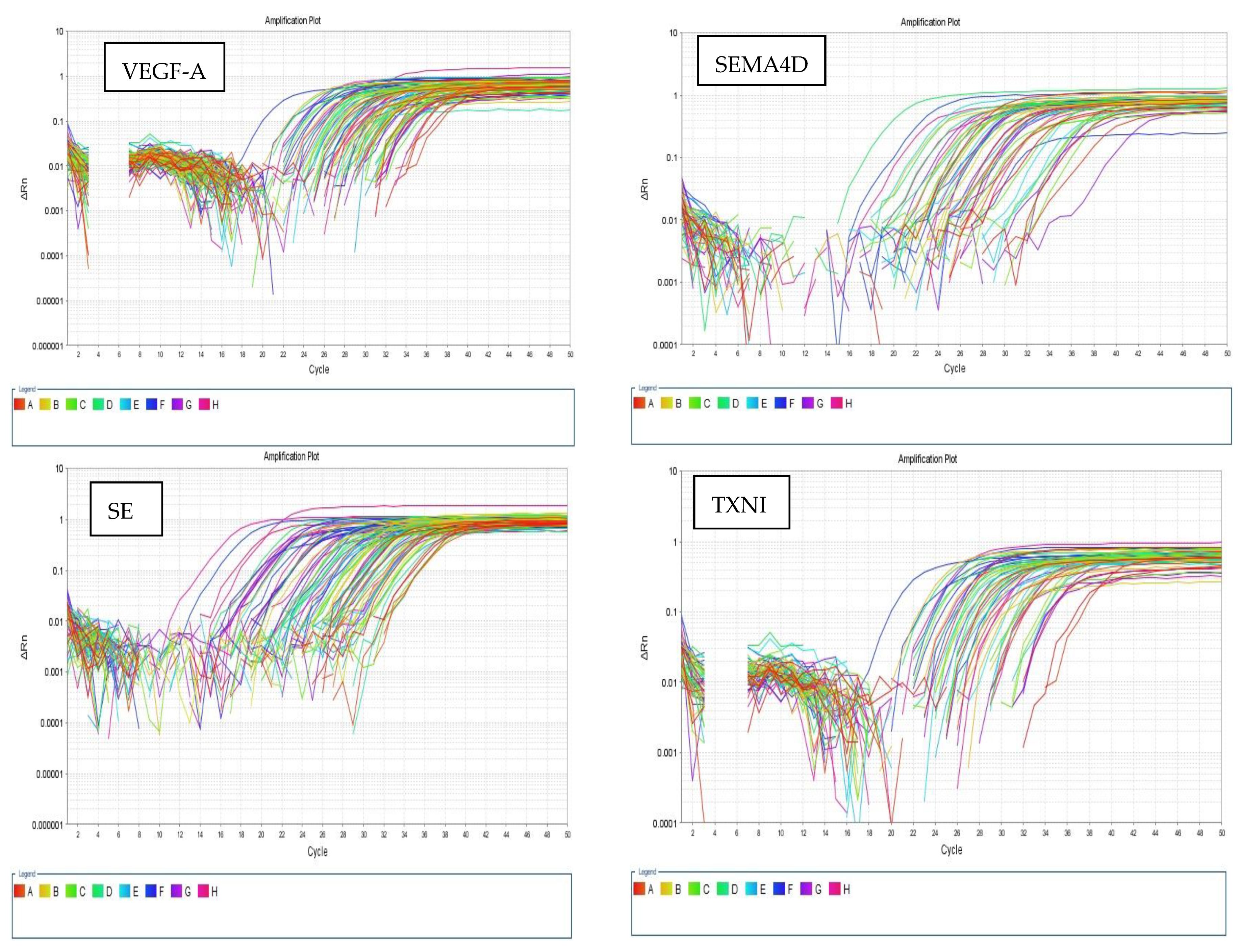 Biomedicines 13 02438 g001c