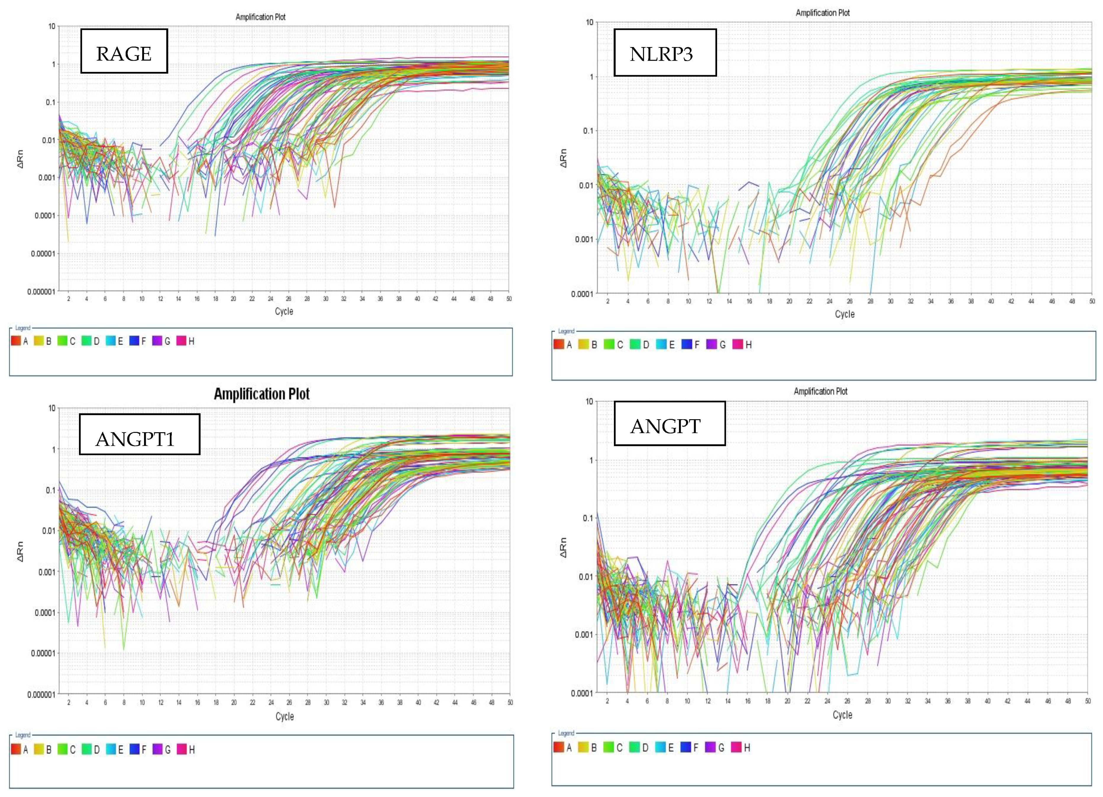 Biomedicines 13 02438 g001d